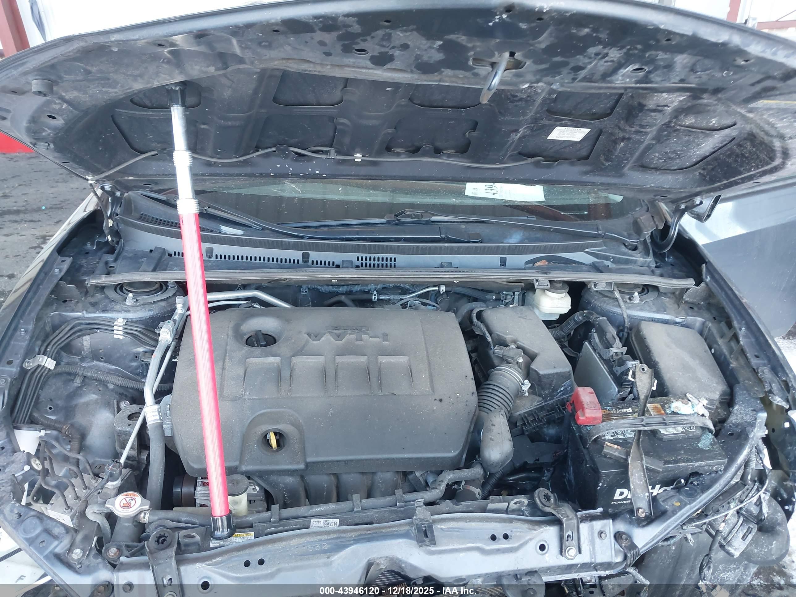 TOYOTA COROLLA image 10
