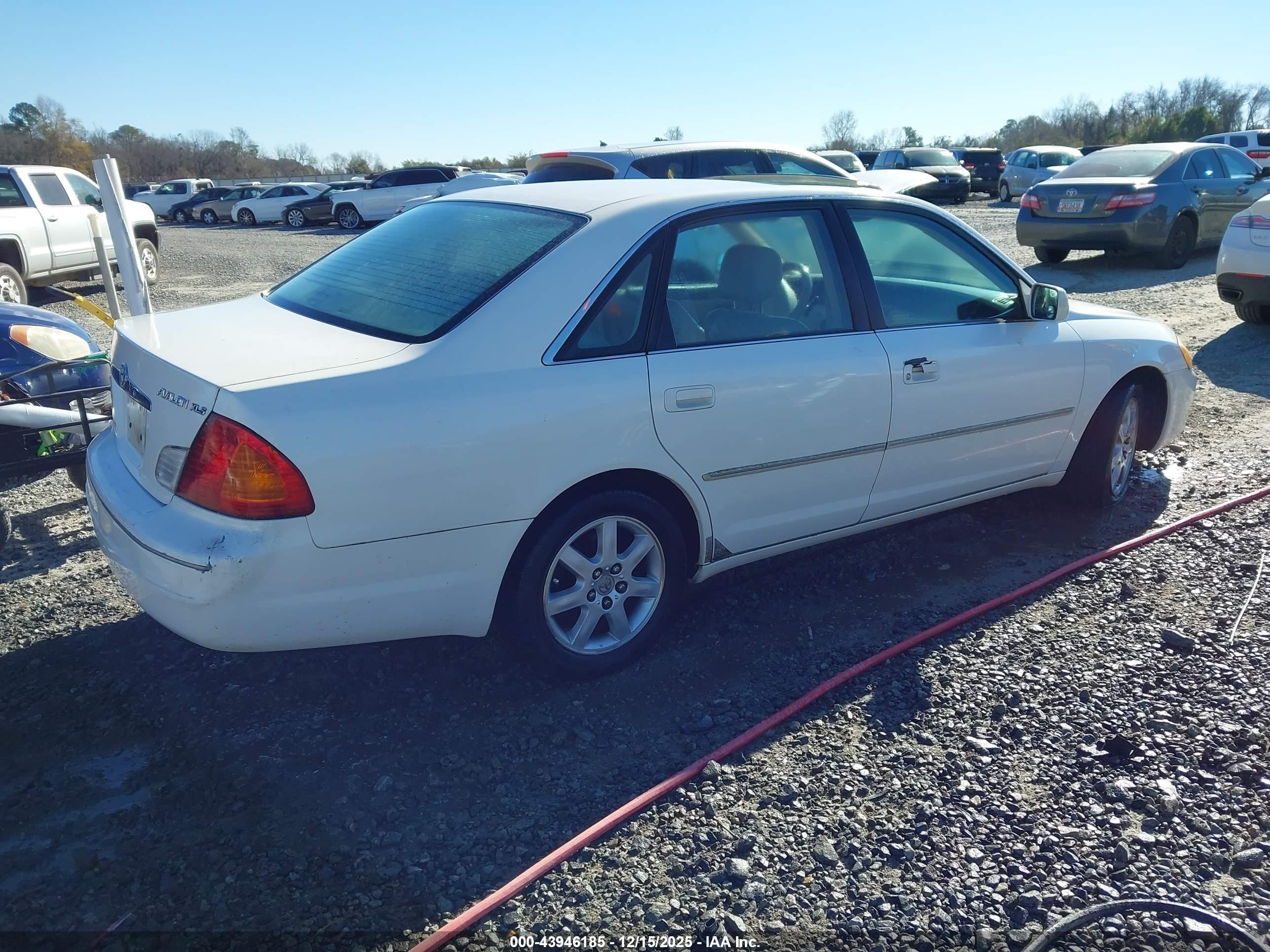 TOYOTA AVALON image 4