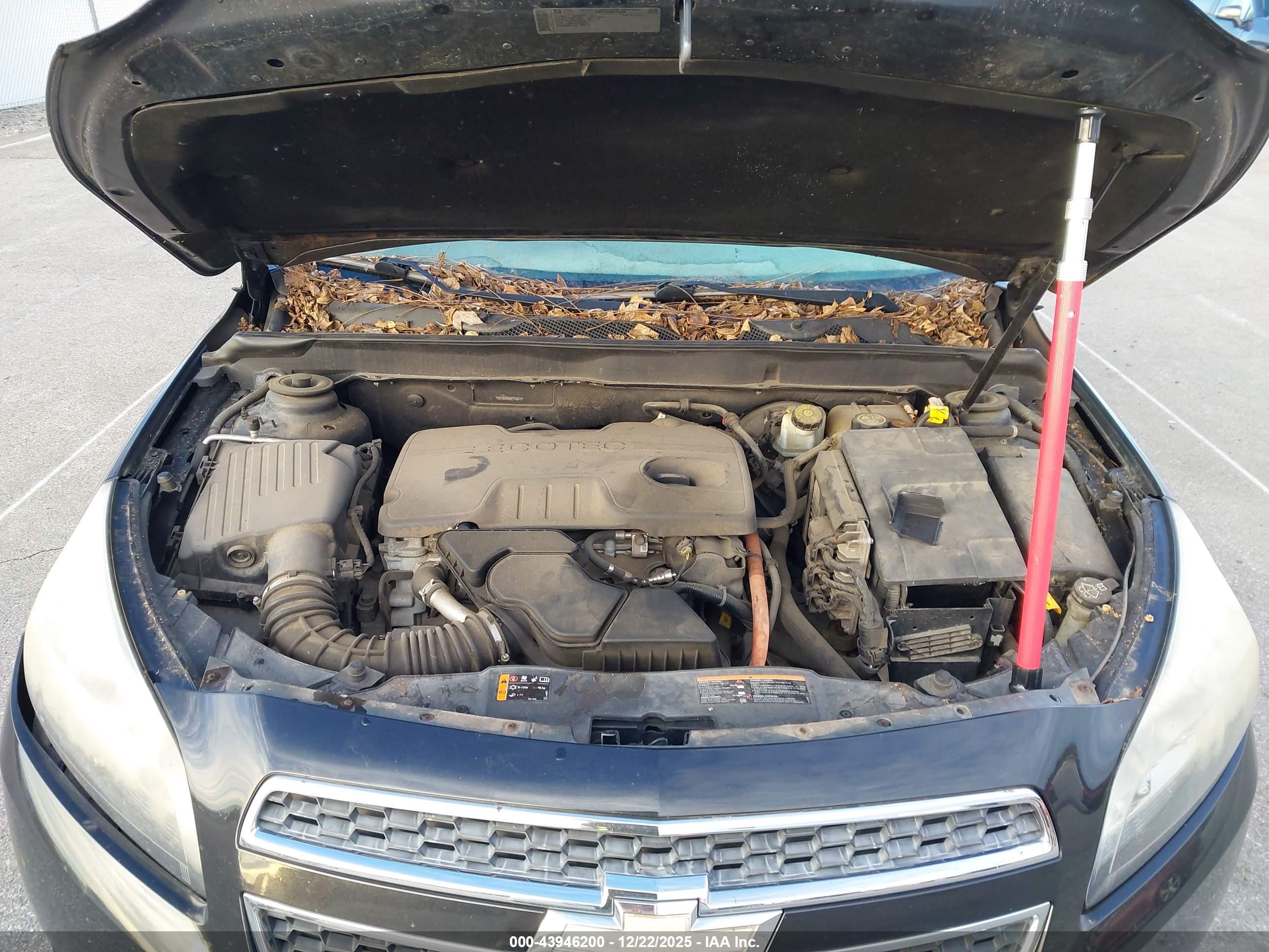 CHEVROLET MALIBU image 10