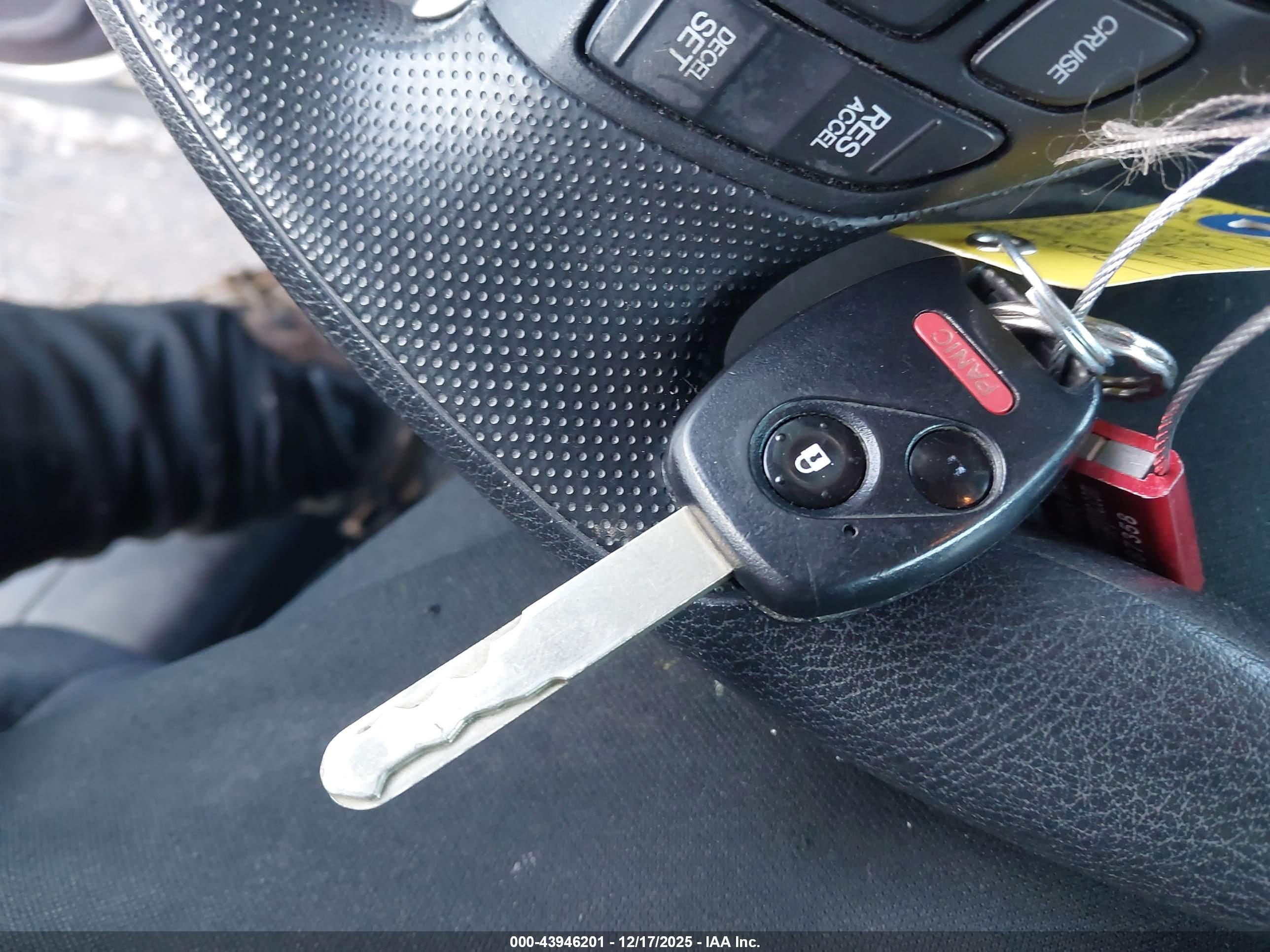 HONDA CR-V image 11
