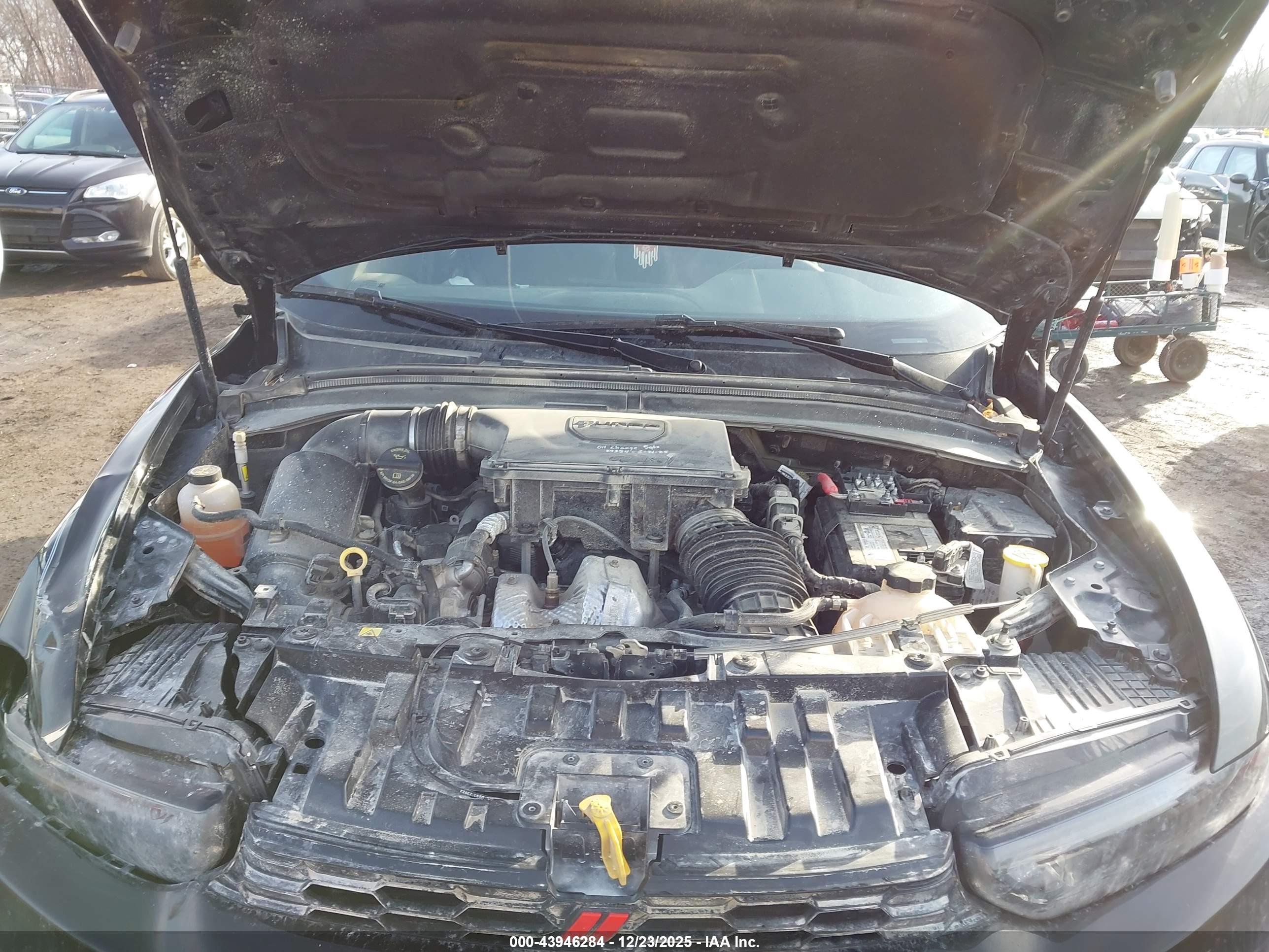 DODGE HORNET image 10