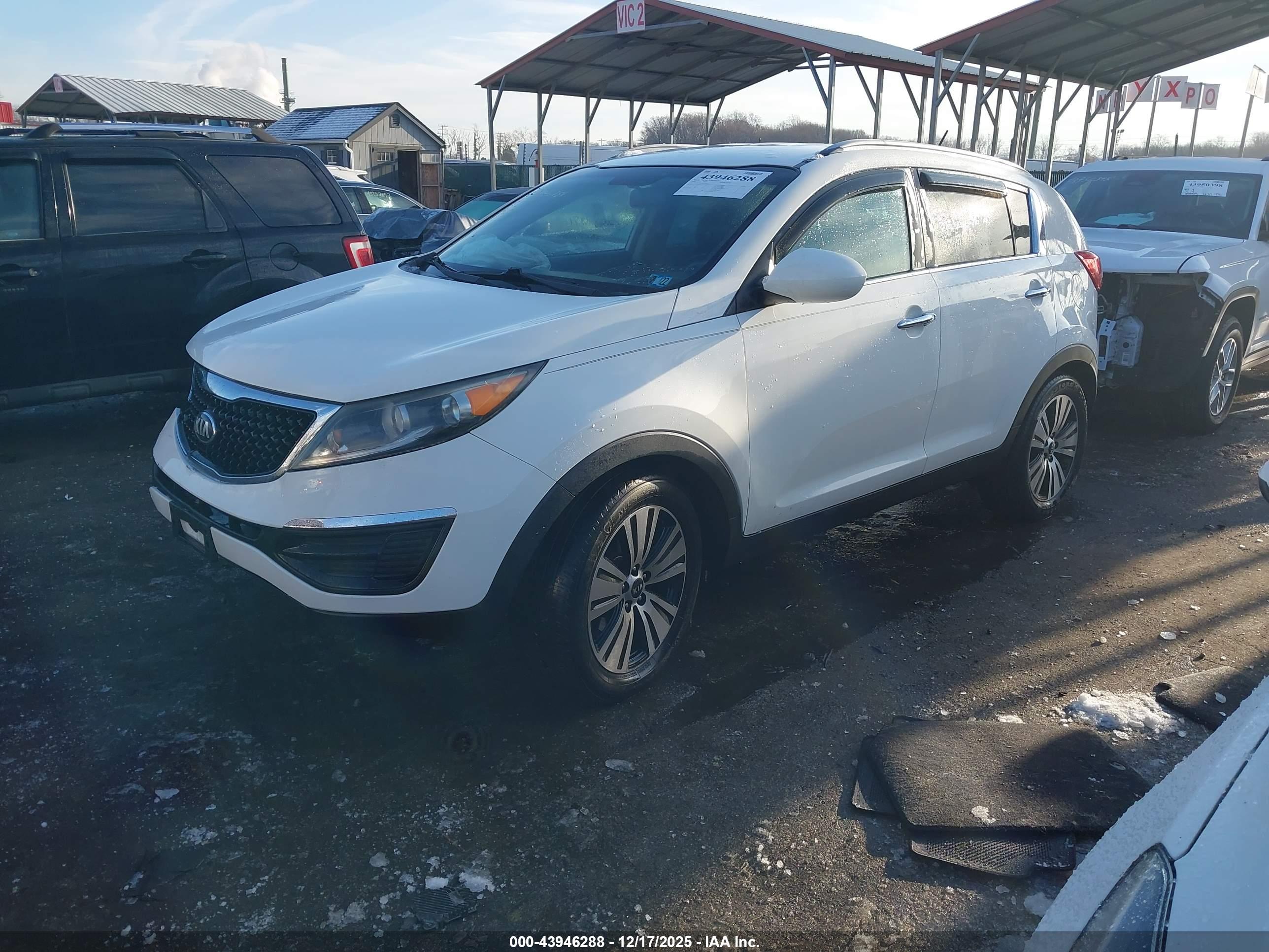 KIA SPORTAGE image 2