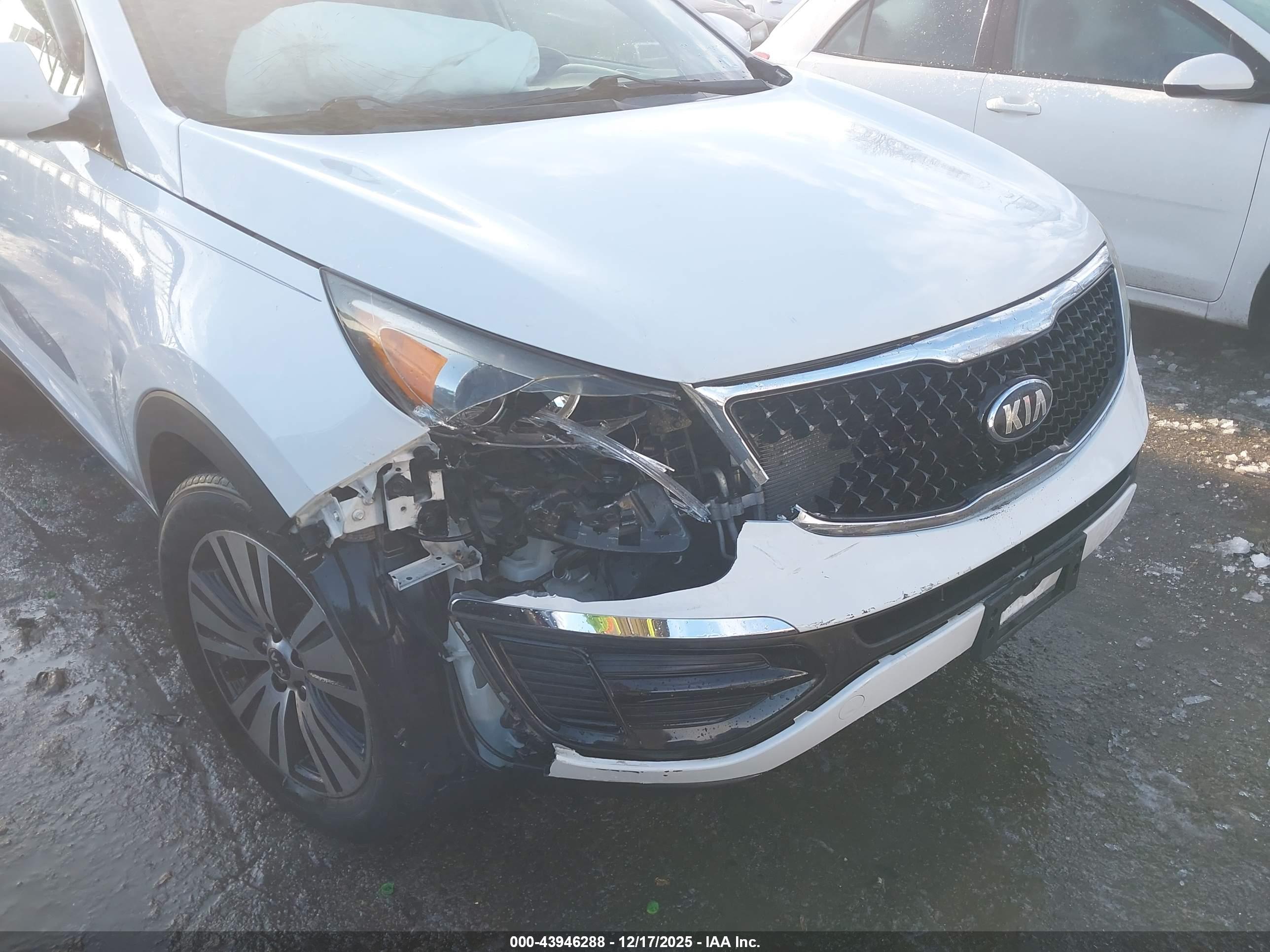 KIA SPORTAGE image 6