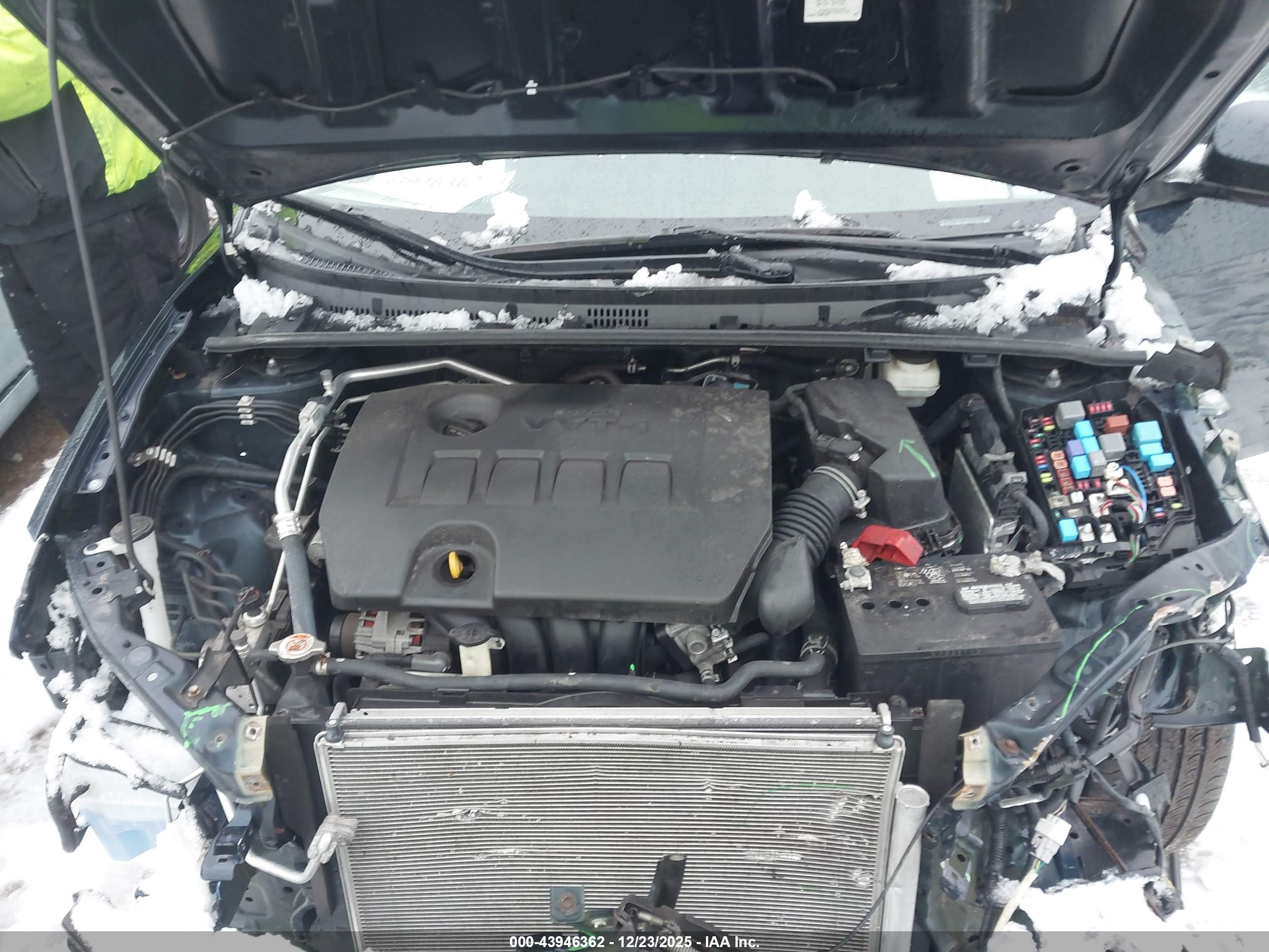 TOYOTA COROLLA image 10