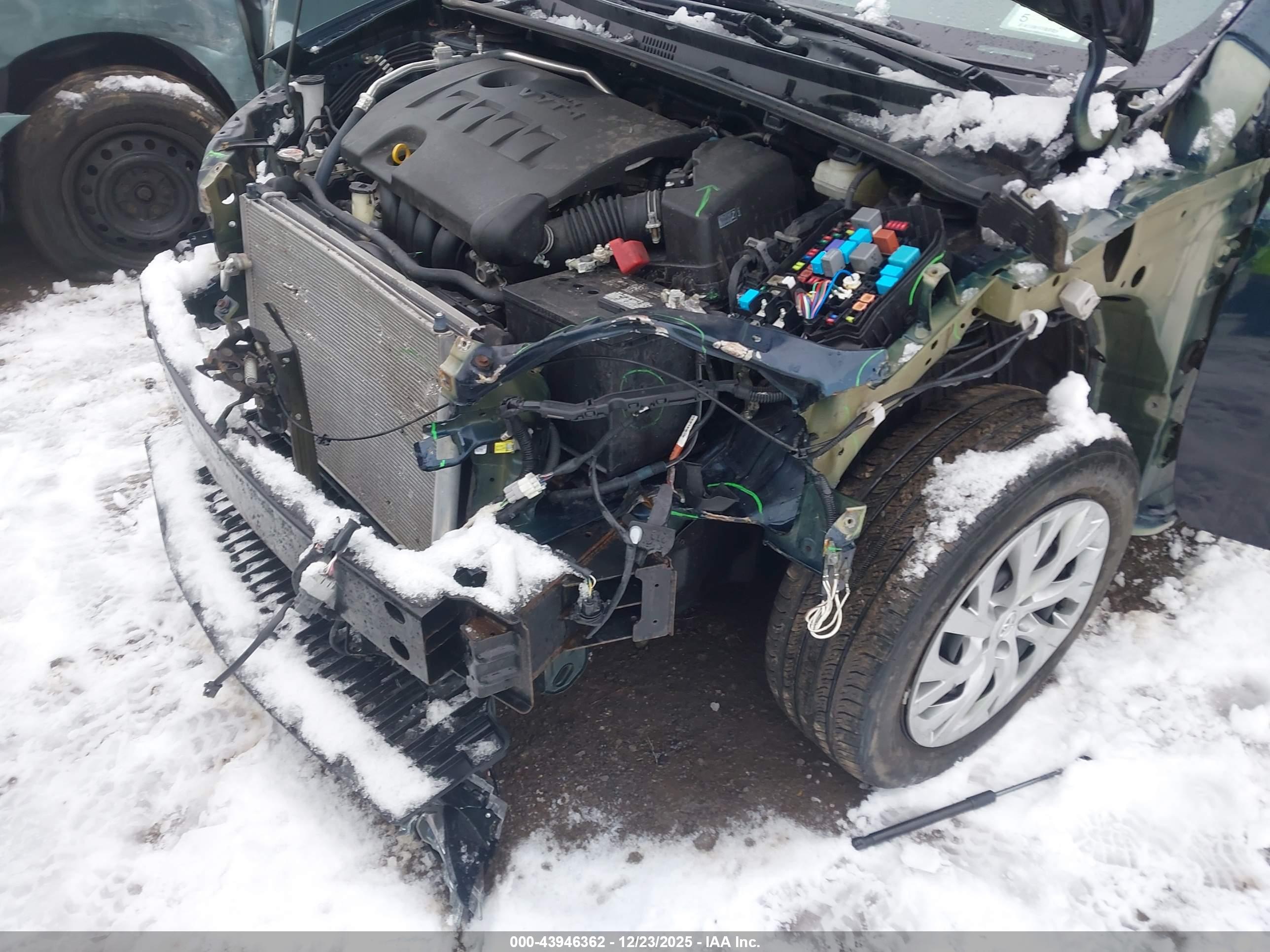 TOYOTA COROLLA image 6