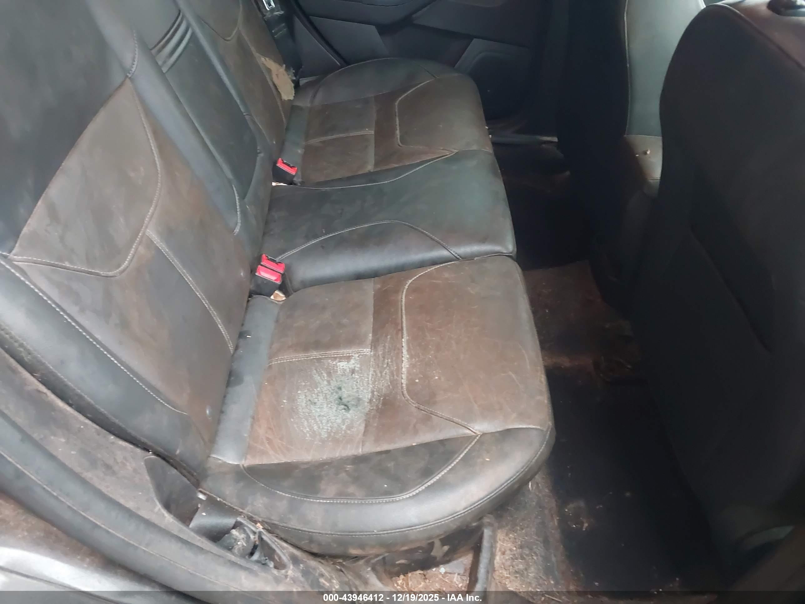FORD FOCUS image 8