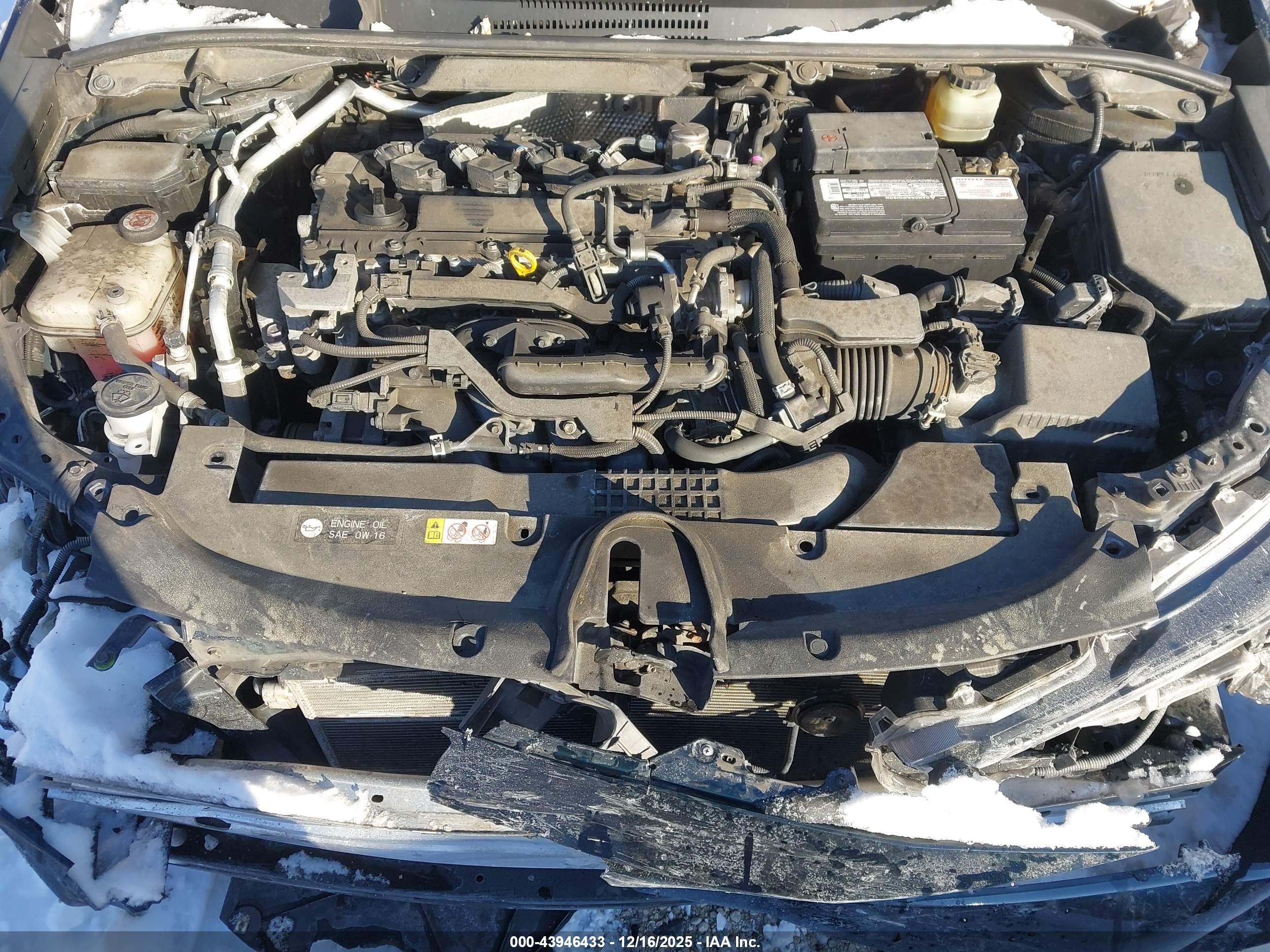 TOYOTA COROLLA image 10