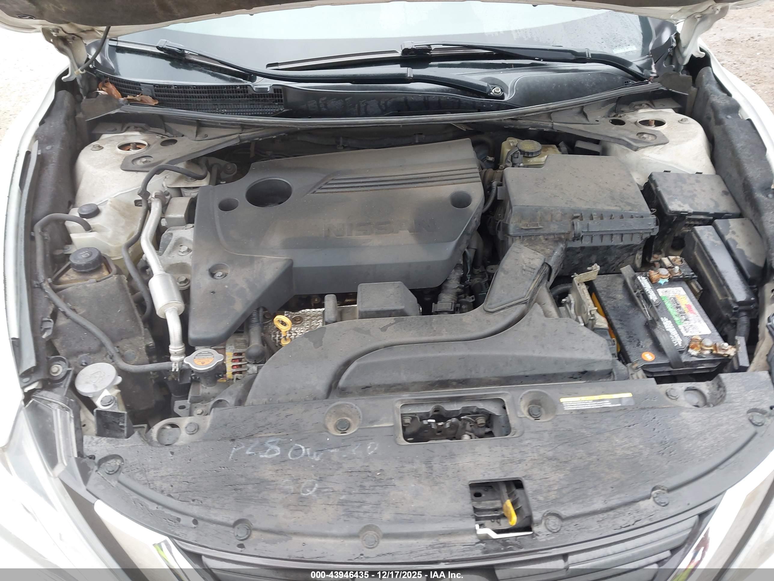 NISSAN ALTIMA image 10