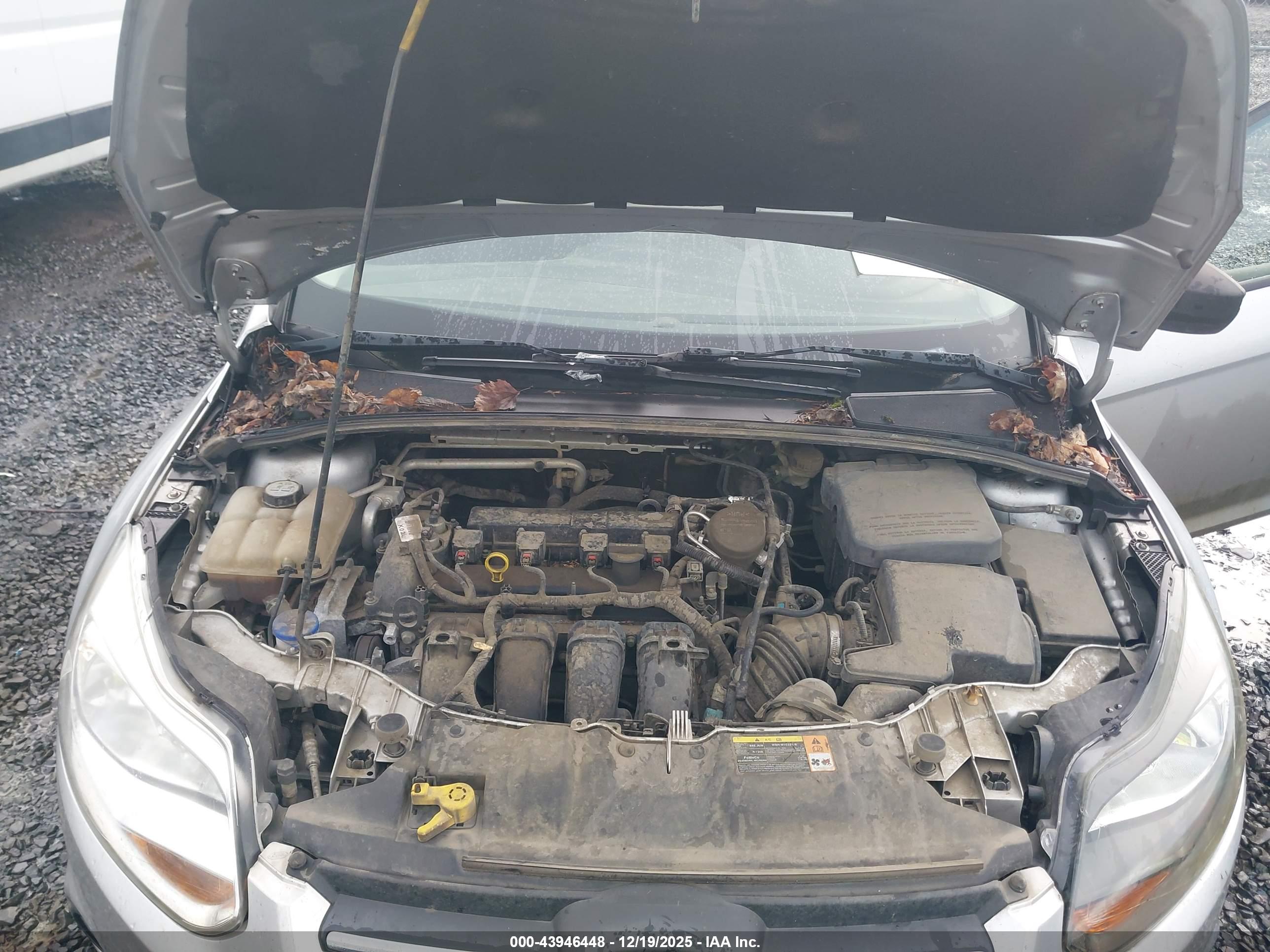 FORD FOCUS image 10