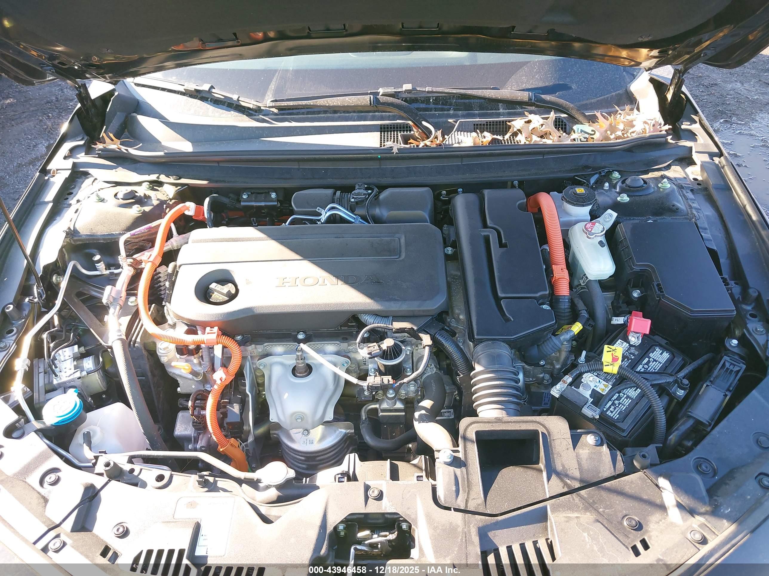 HONDA ACCORD image 10