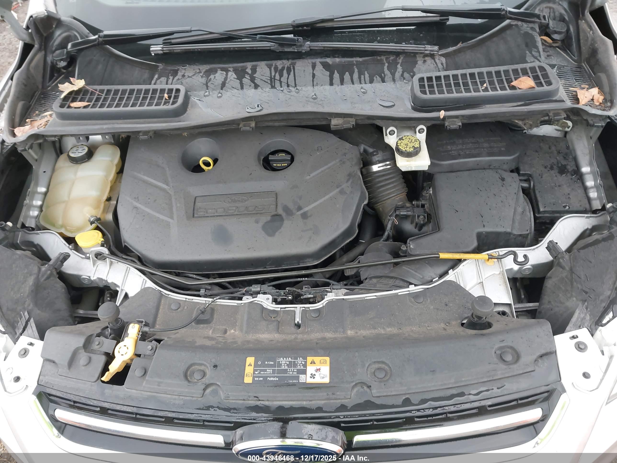 FORD ESCAPE image 10