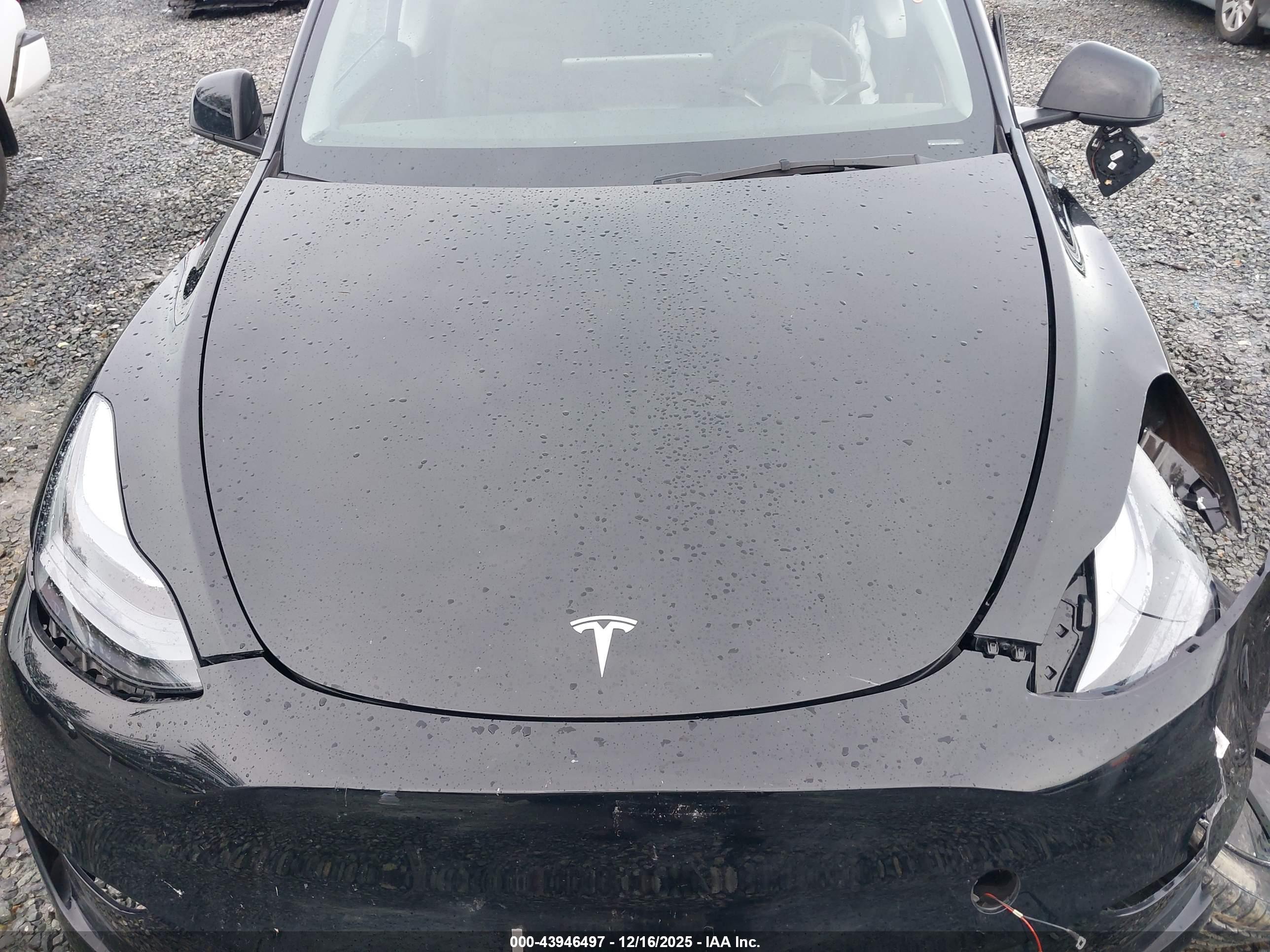 TESLA MODEL image 10