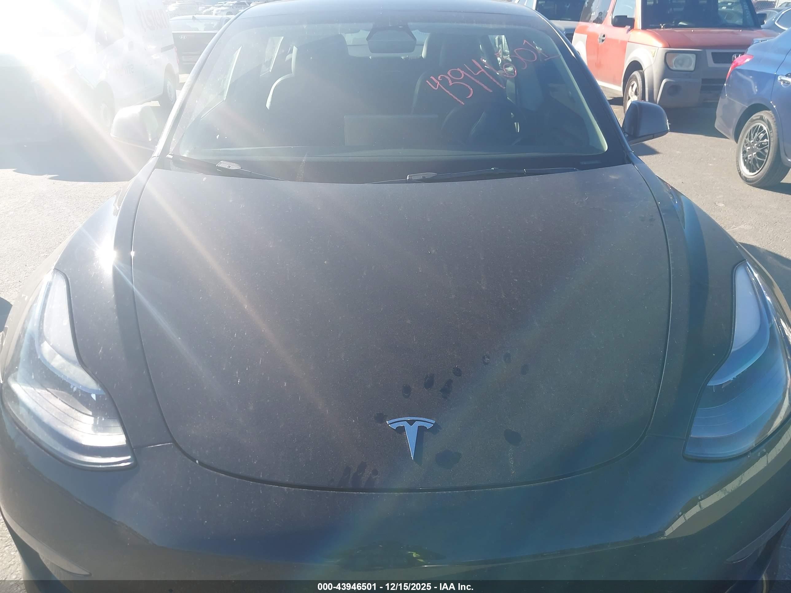 TESLA MODEL image 6
