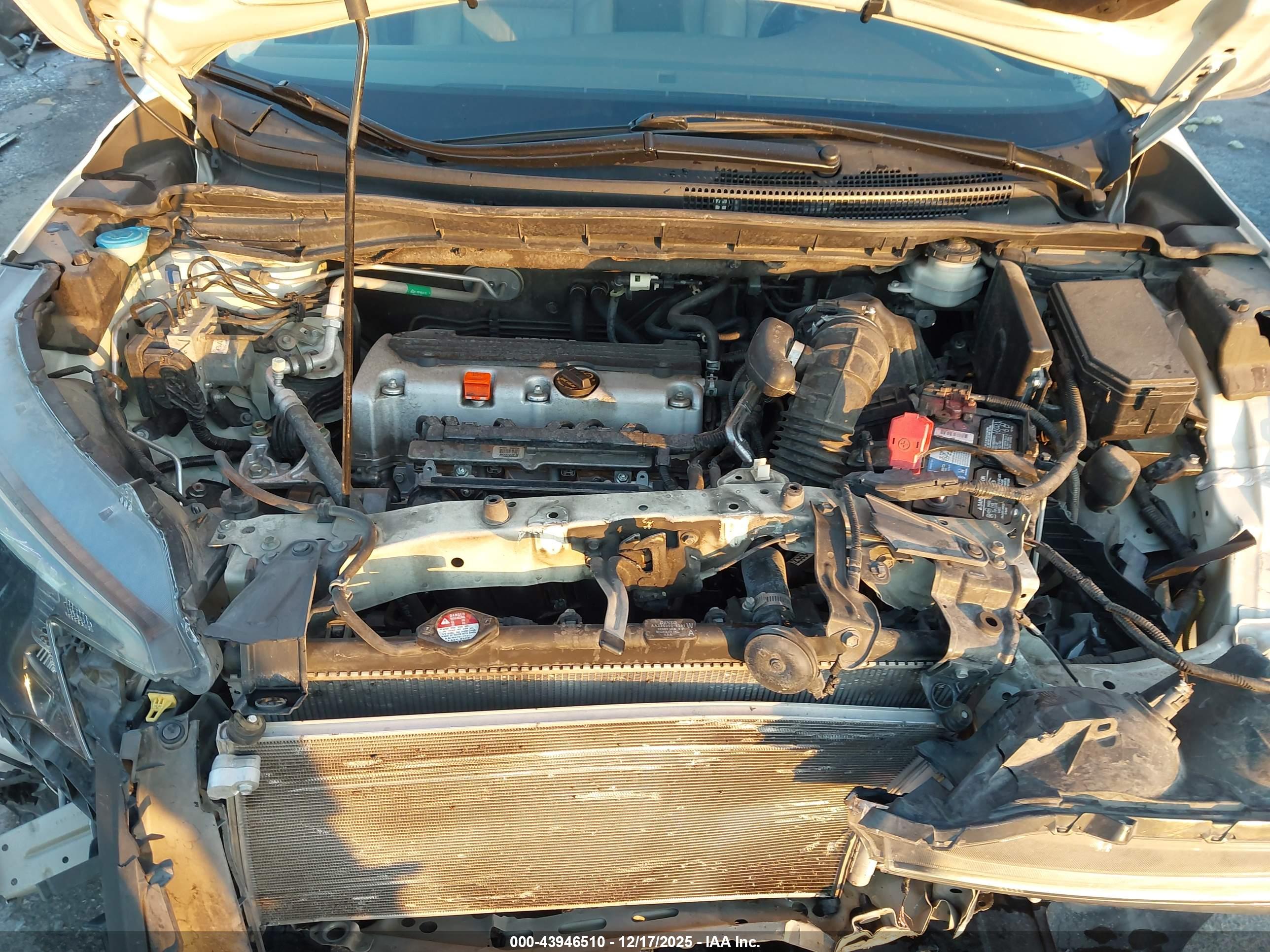 HONDA CR-V image 10