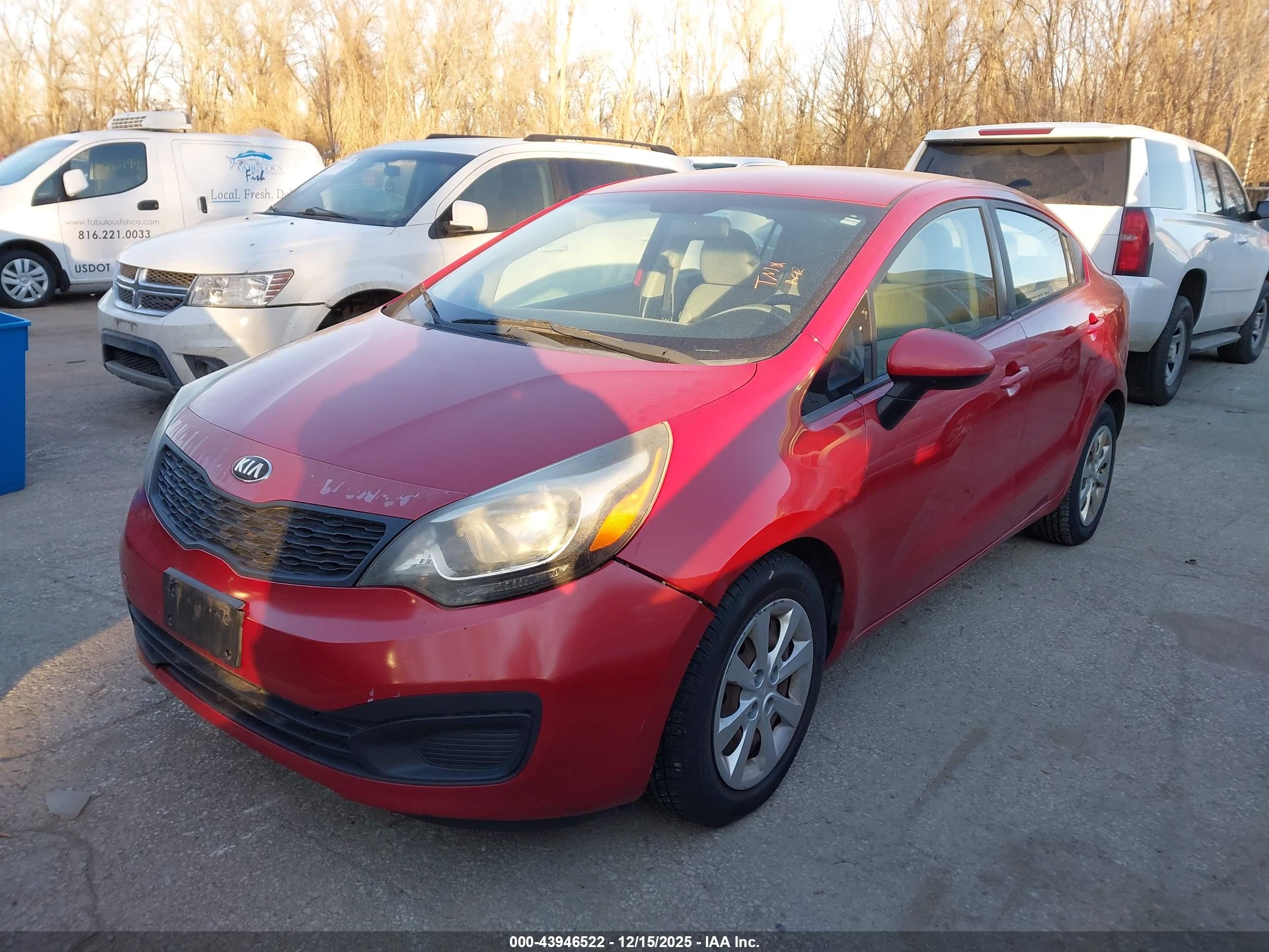 KIA RIO image 2