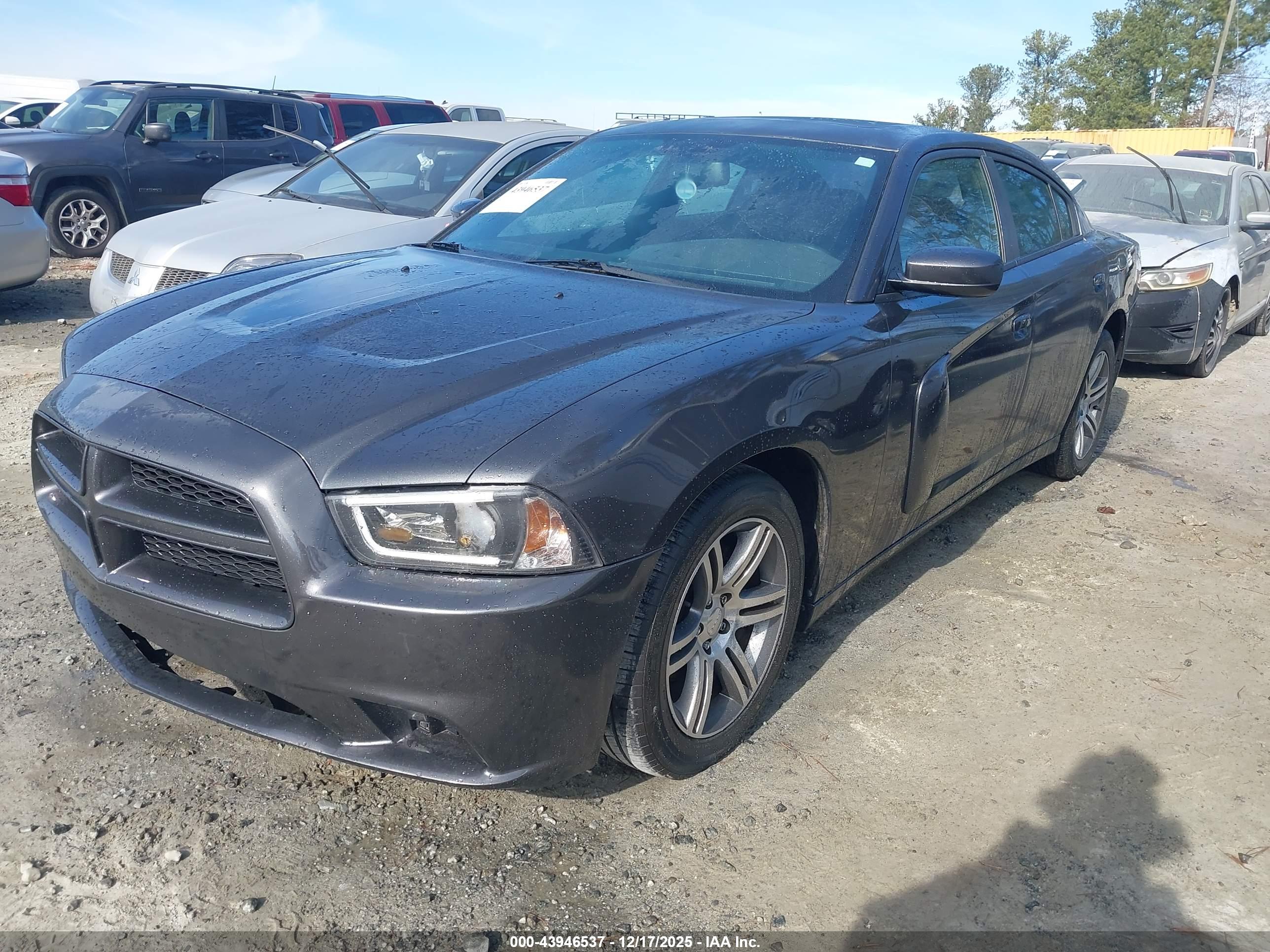 DODGE CHARGER image 2