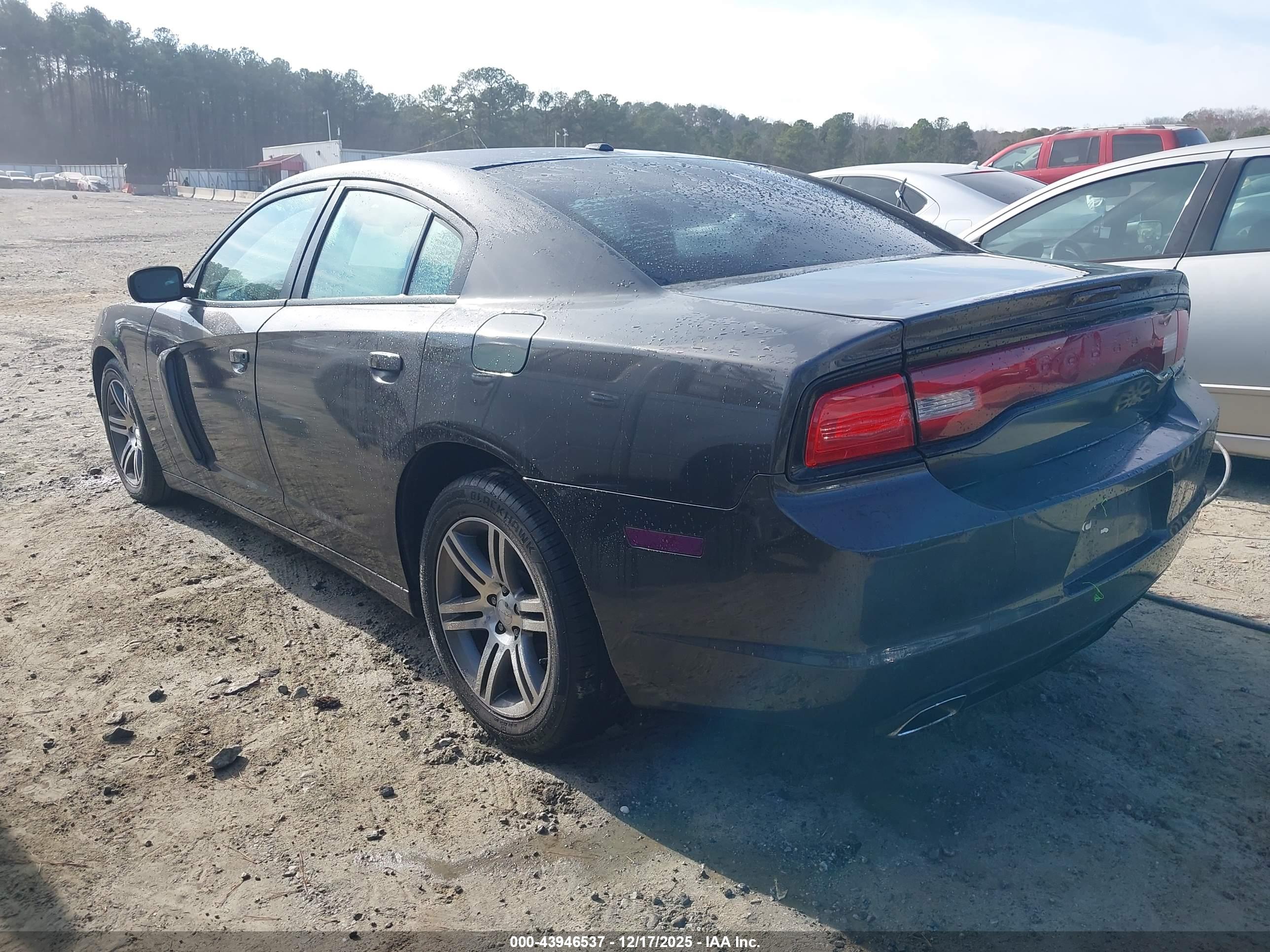 DODGE CHARGER image 3