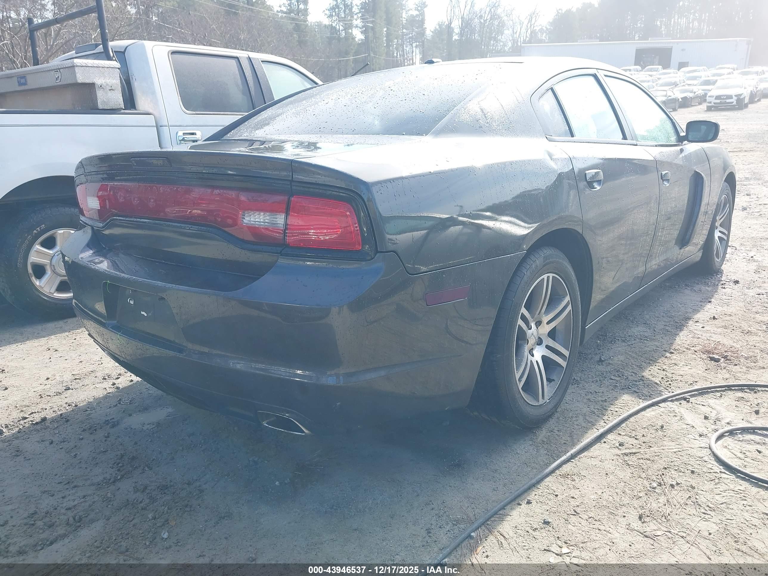 DODGE CHARGER image 4