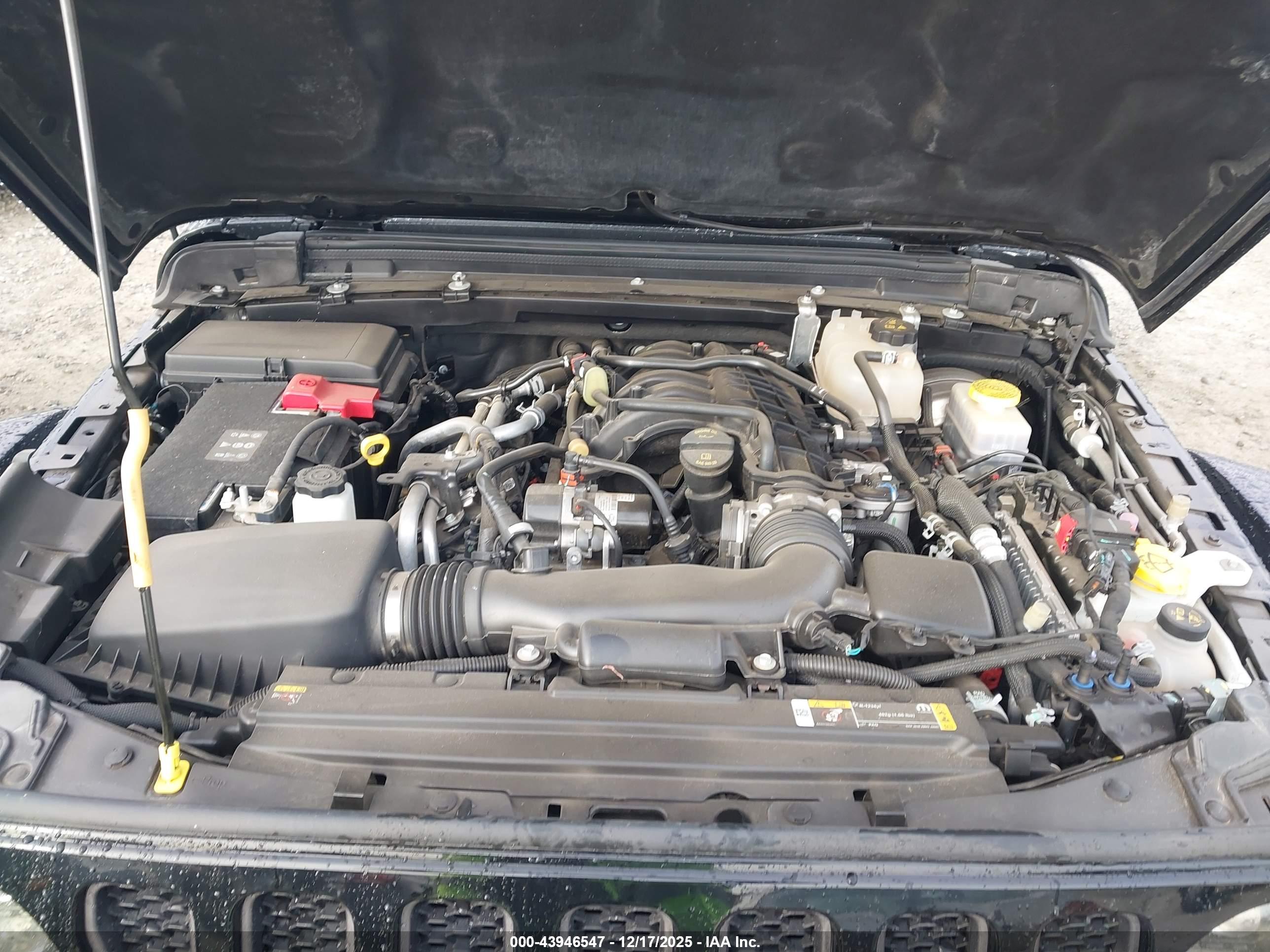 JEEP WRANGLER image 10