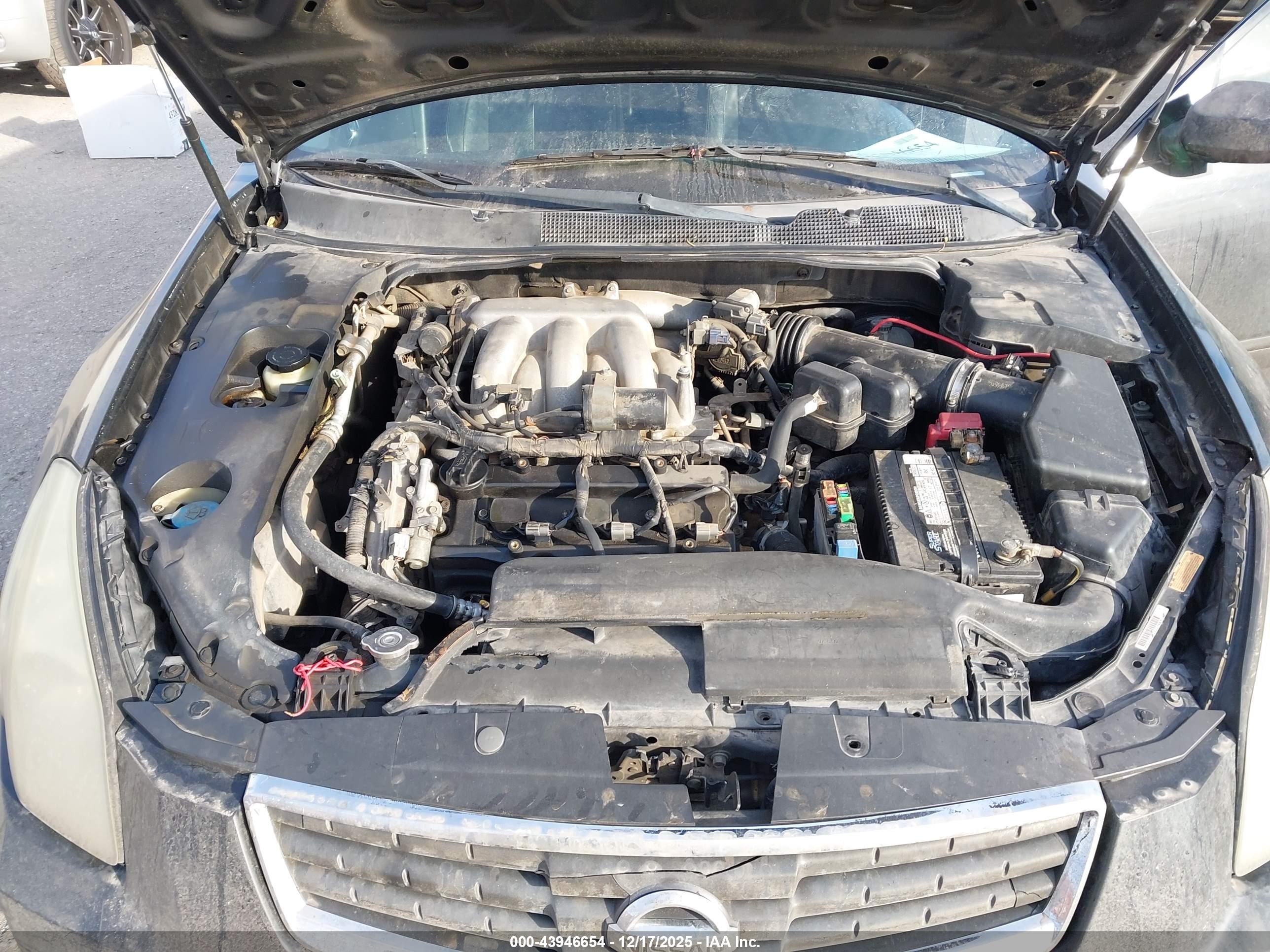 NISSAN MAXIMA image 10