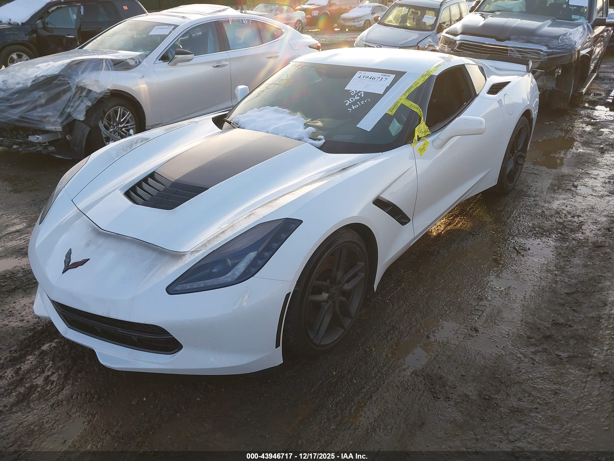 CHEVROLET CORVETTE image 2