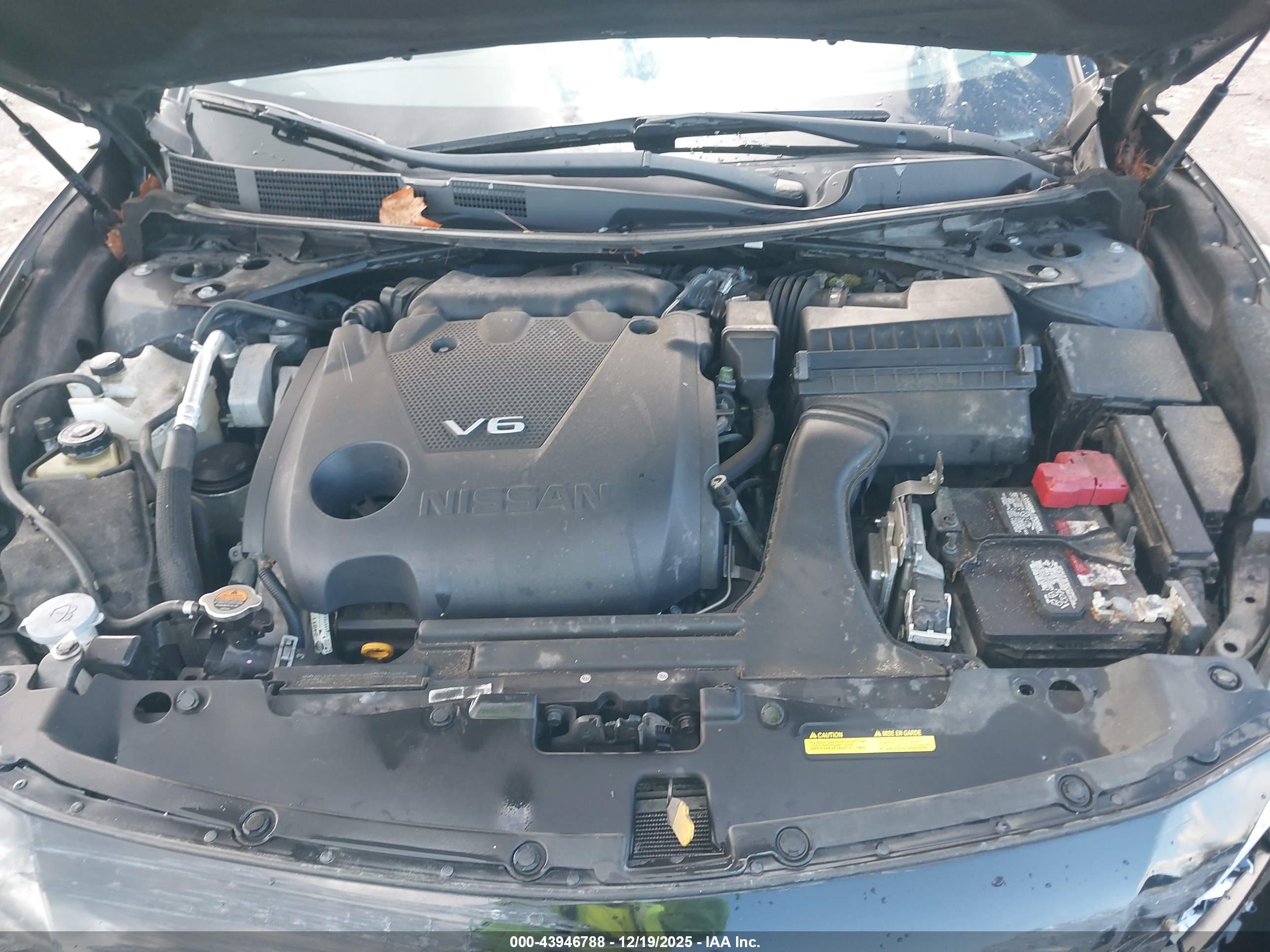 NISSAN MAXIMA image 10