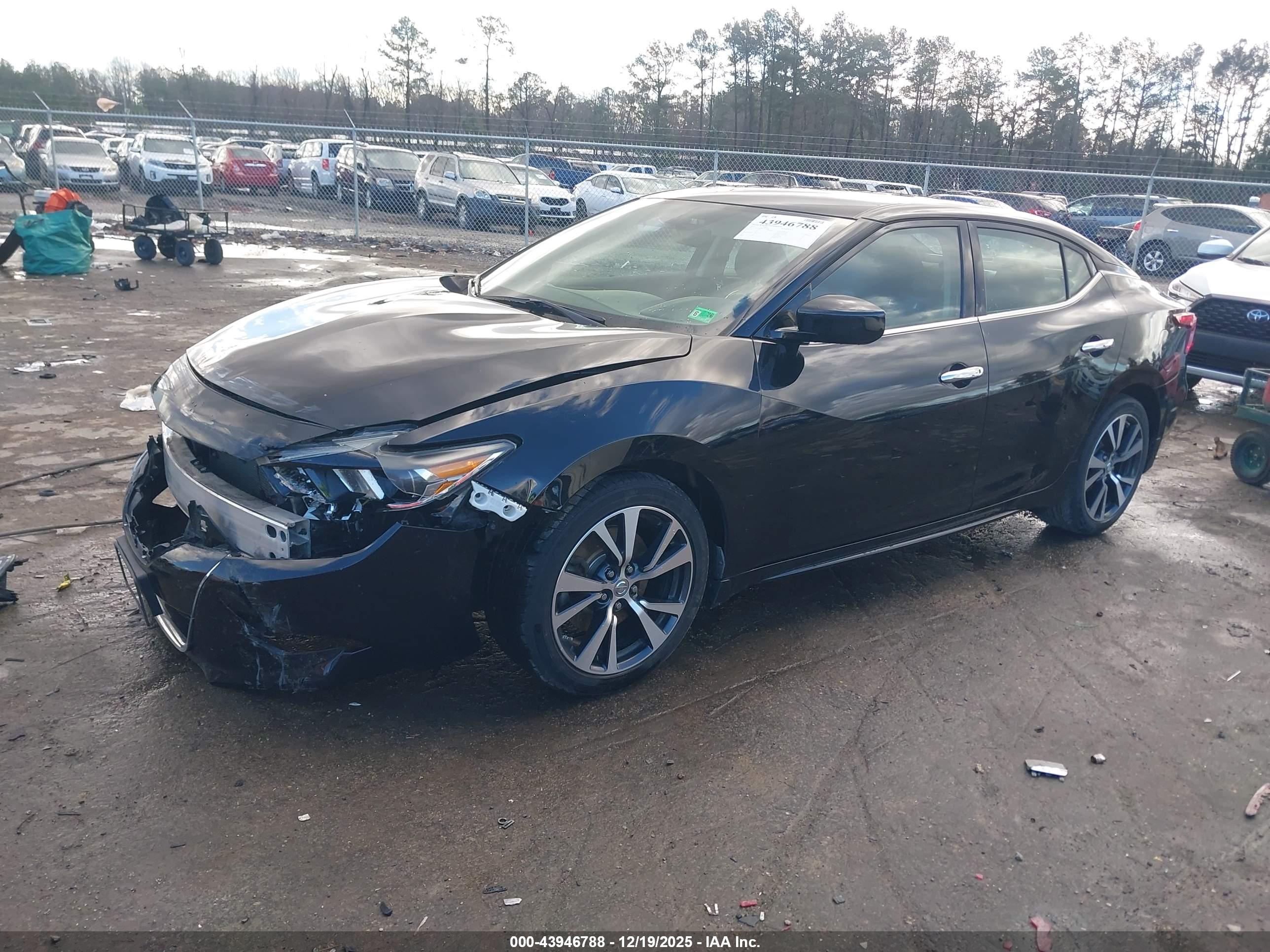 NISSAN MAXIMA image 2