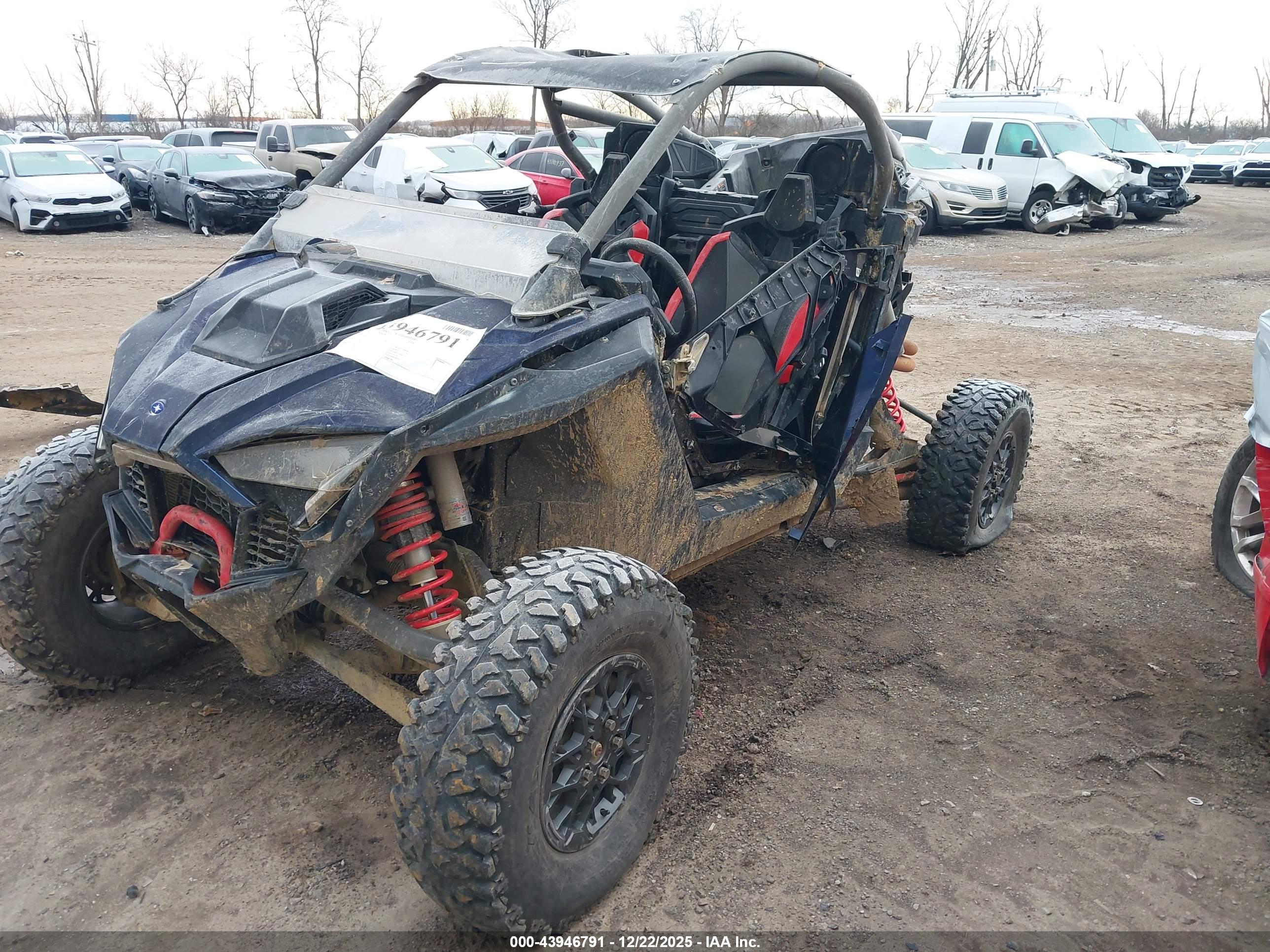 POLARIS RZR image 2