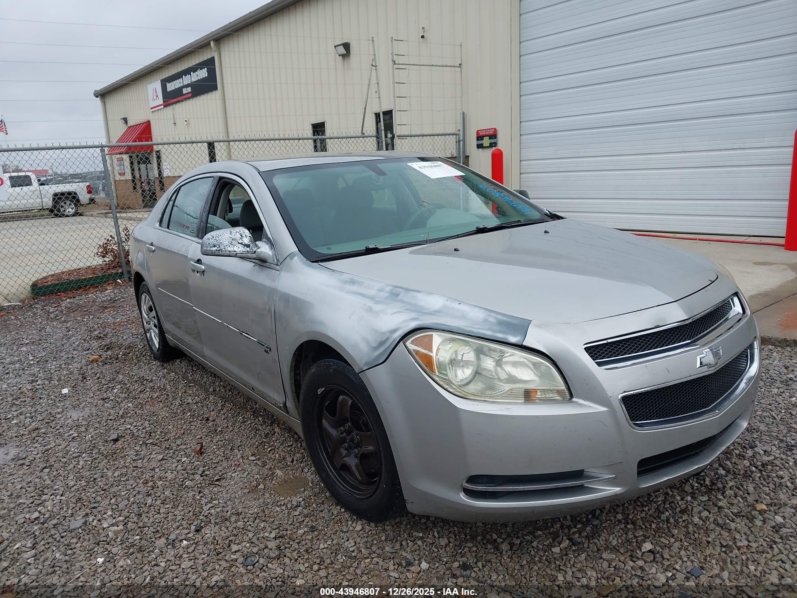 CHEVROLET MALIBU image 6