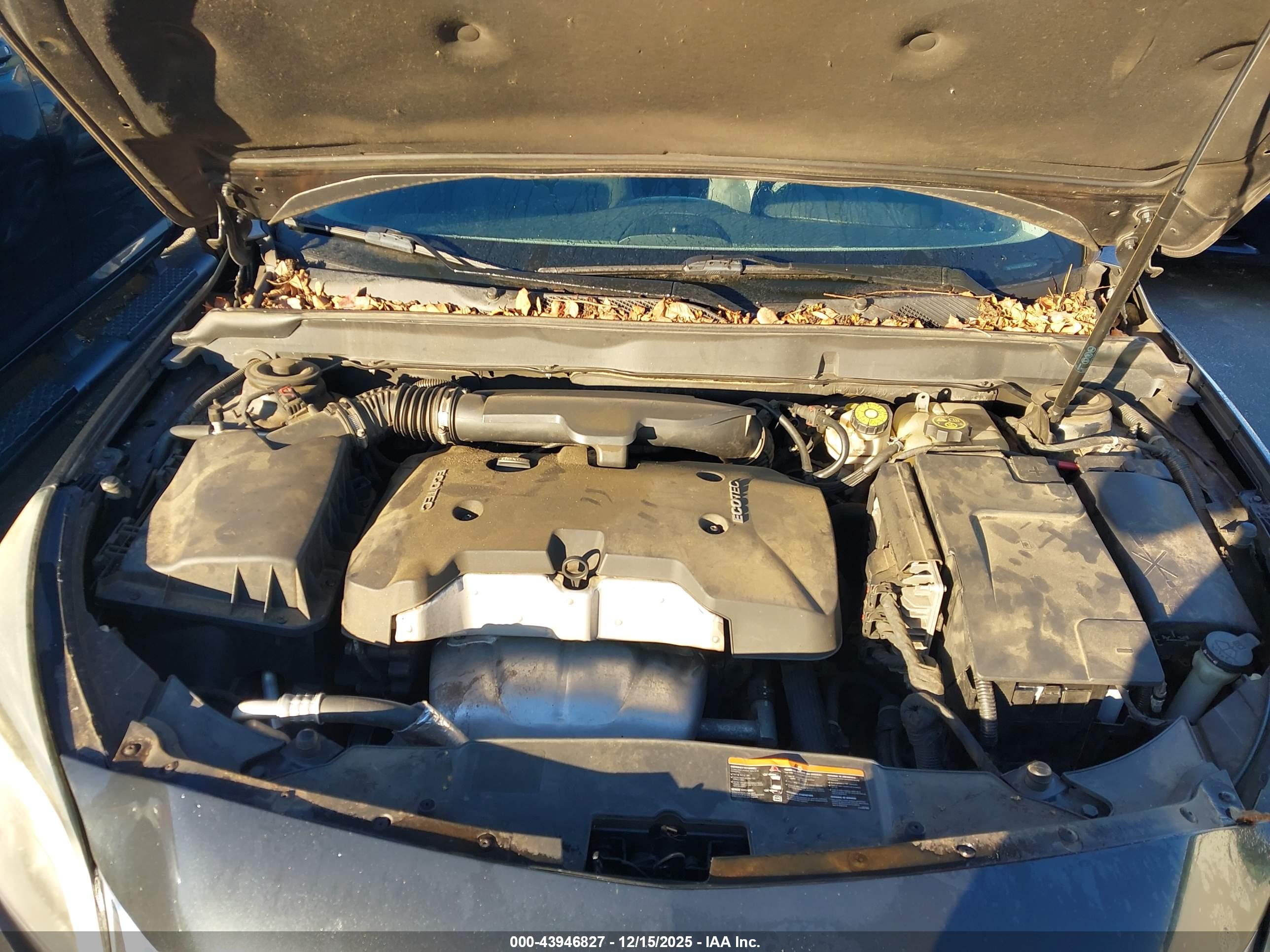 CHEVROLET MALIBU image 10