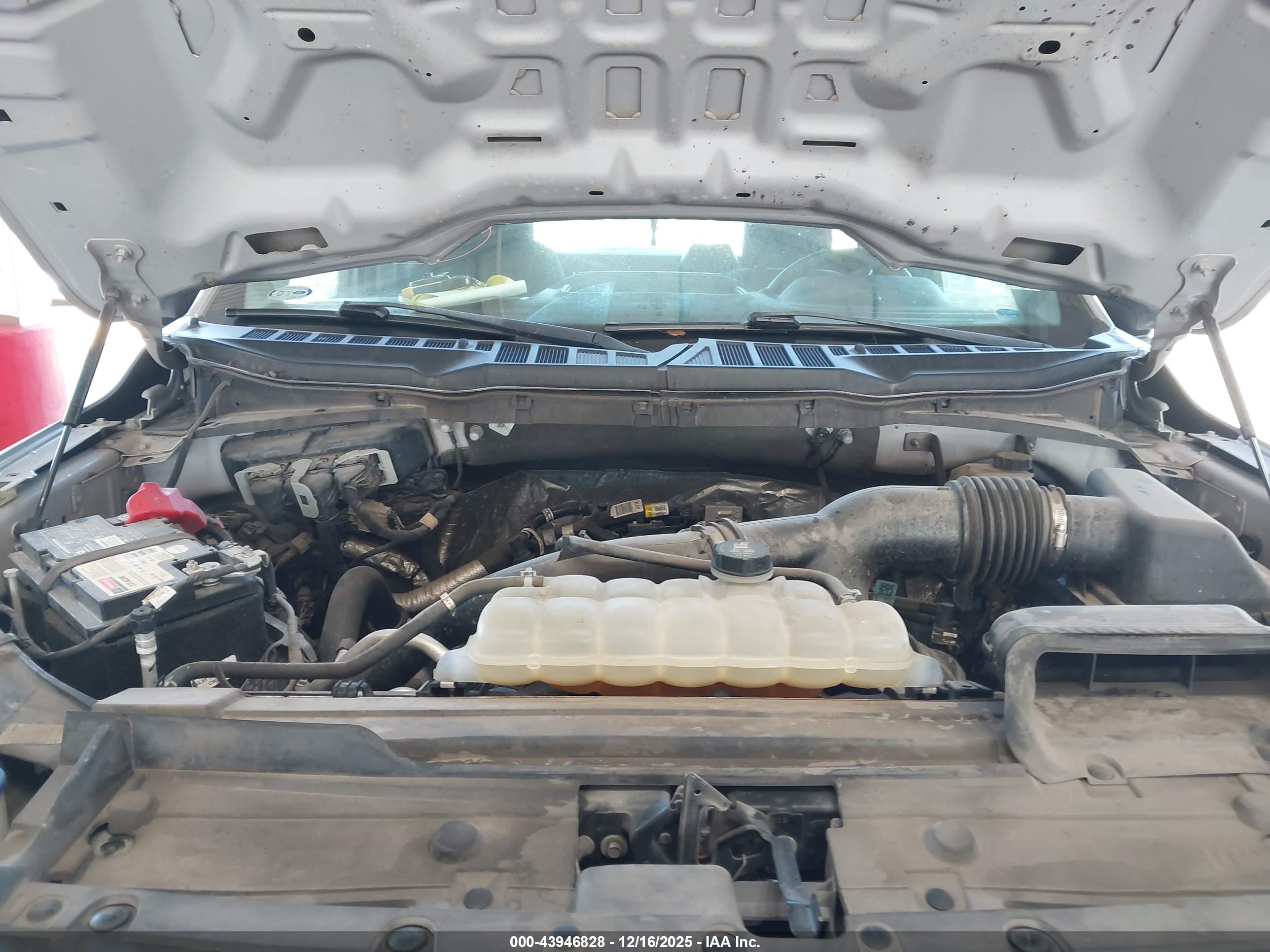 FORD F-150 image 10