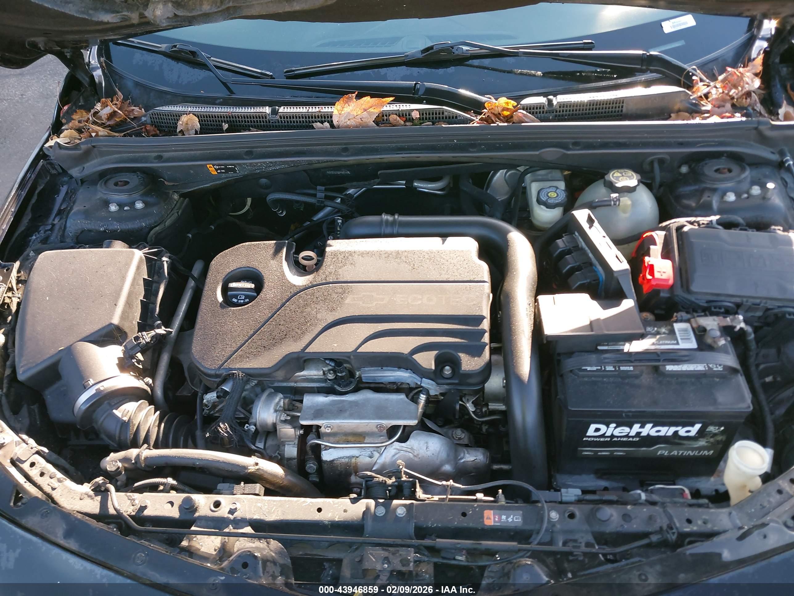CHEVROLET MALIBU image 10