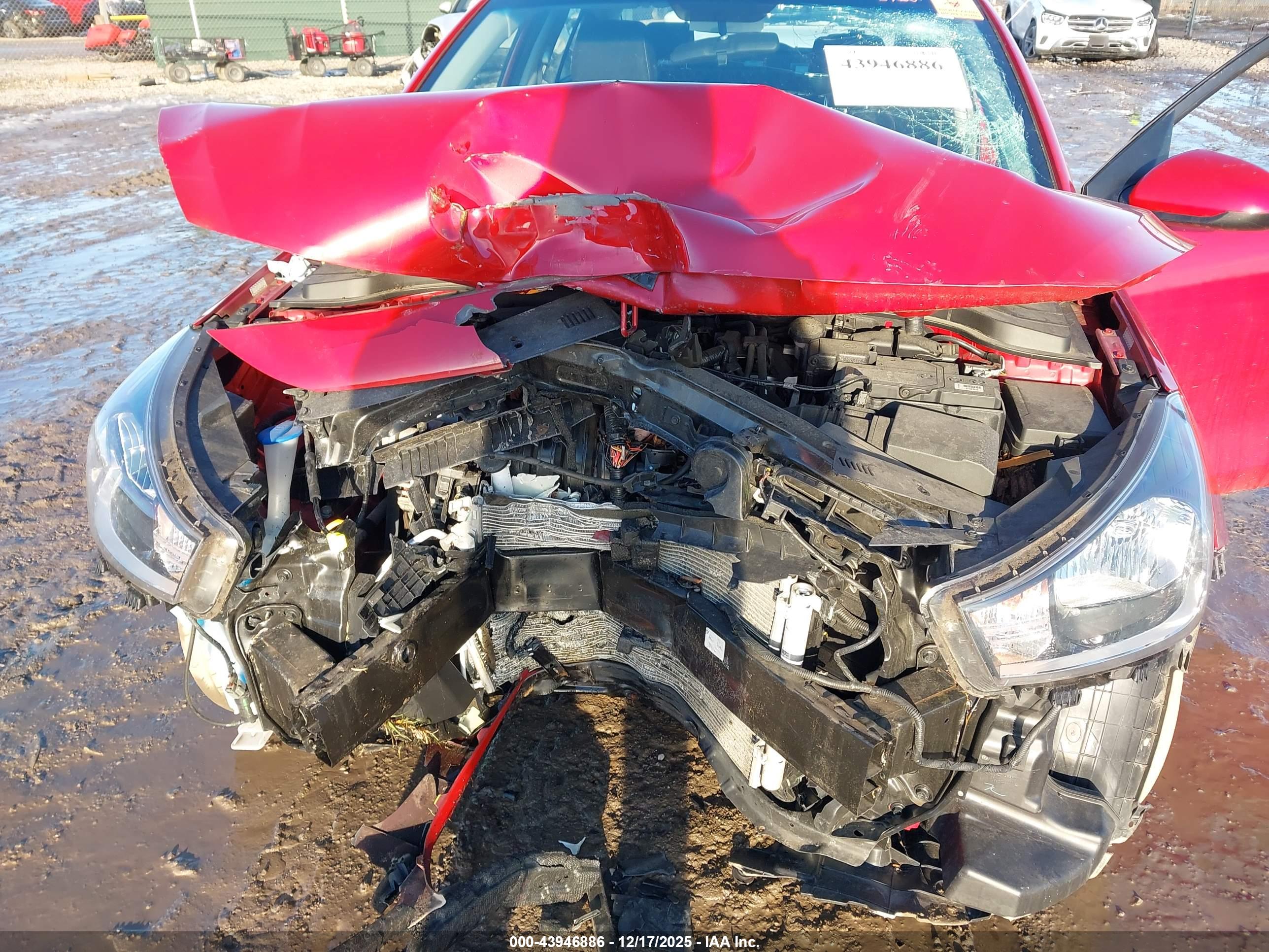 KIA RIO image 6