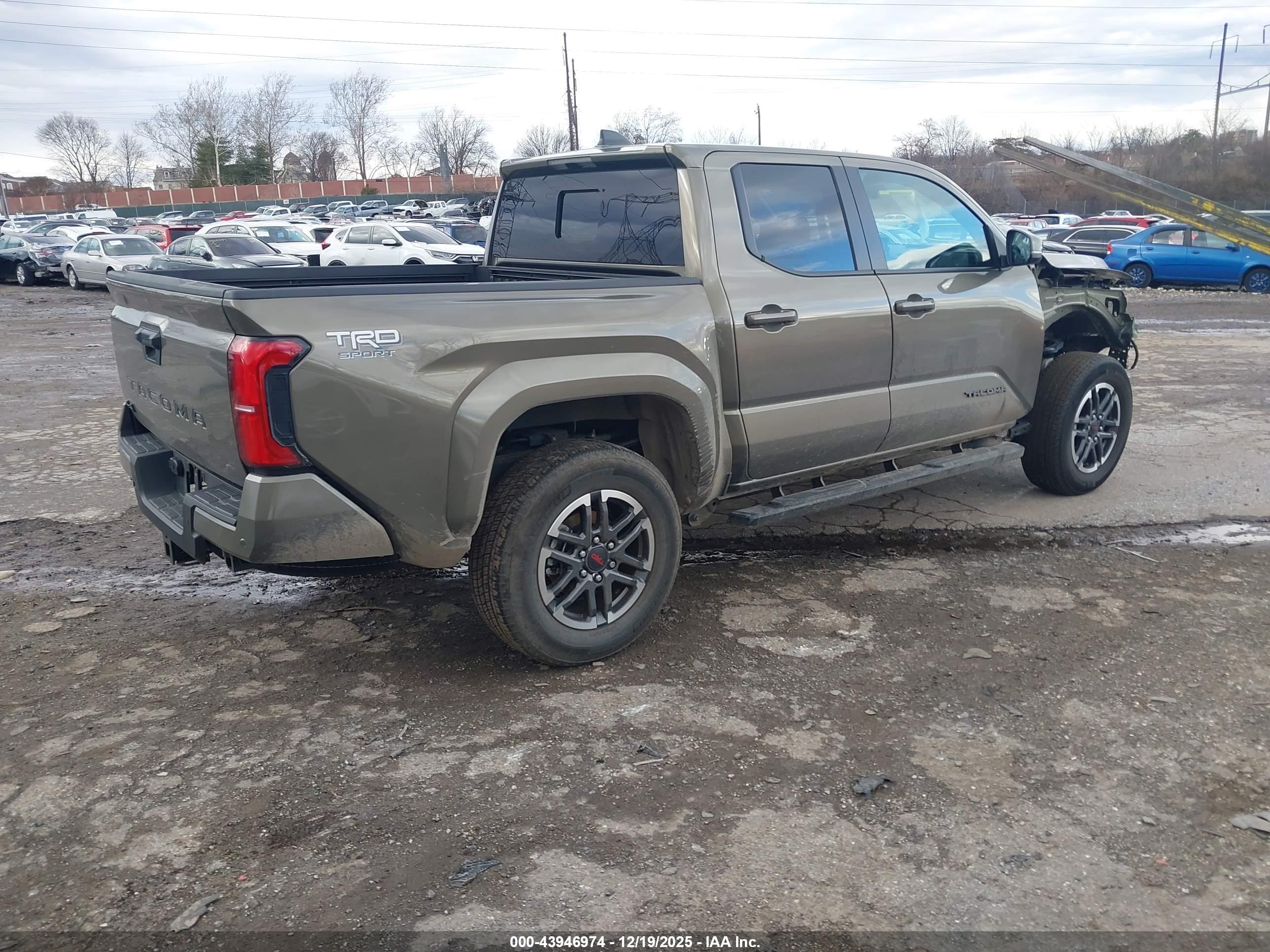 TOYOTA TACOMA image 4