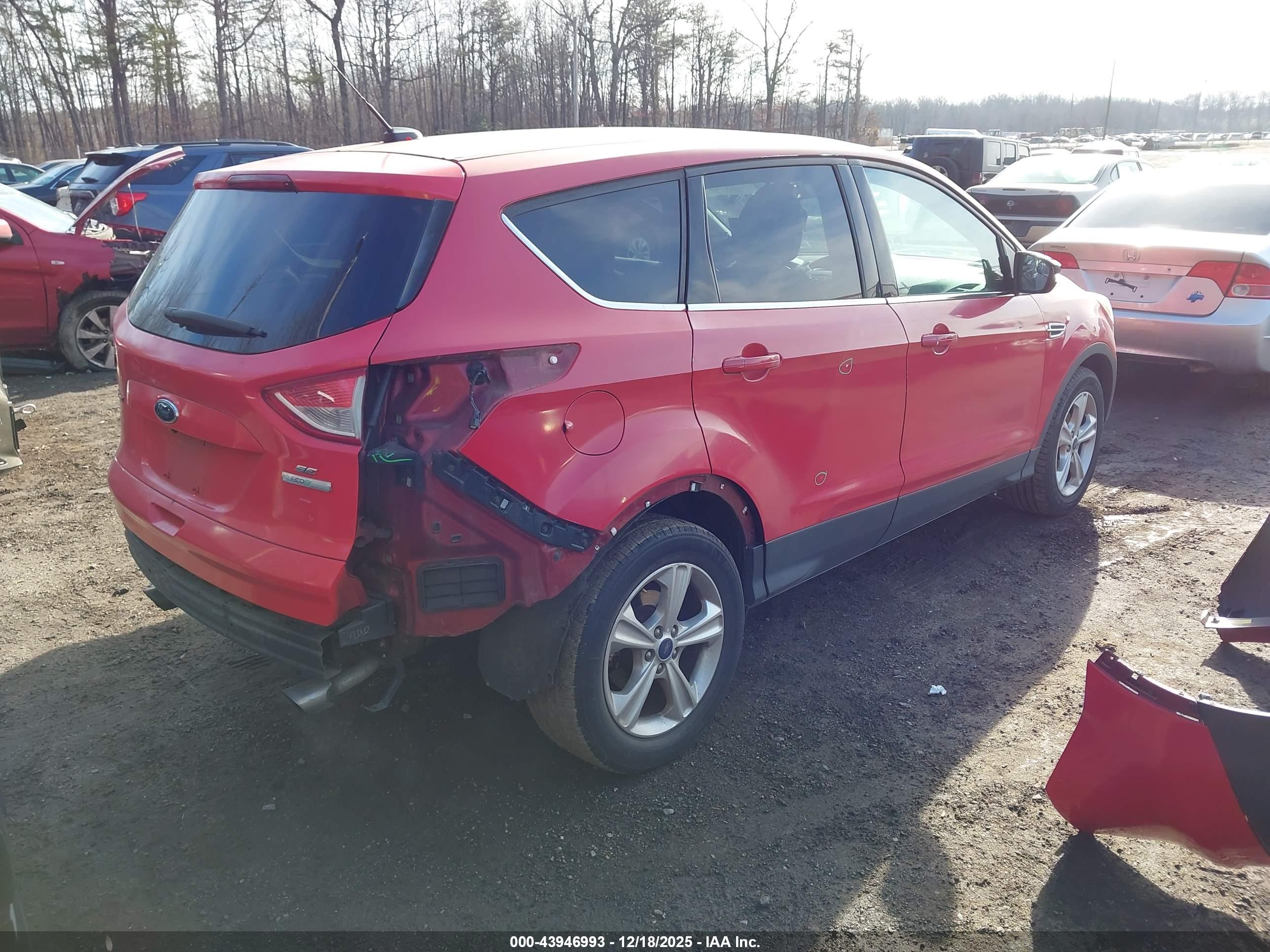 FORD ESCAPE image 4