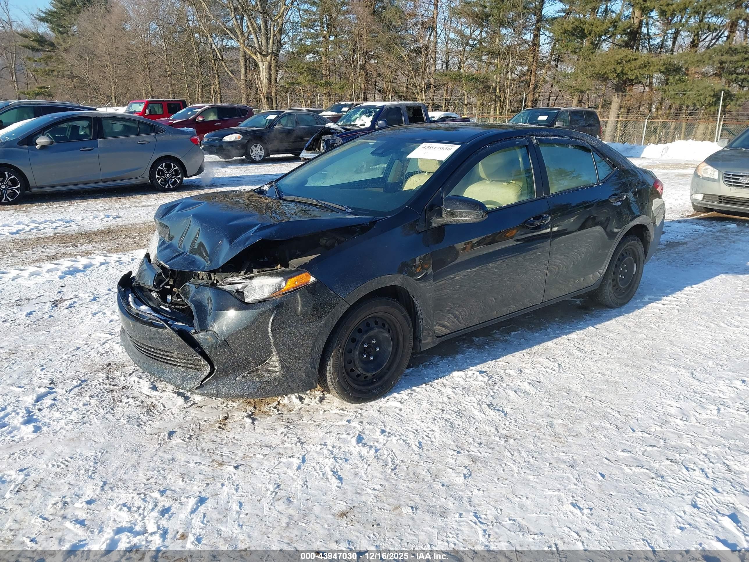 TOYOTA COROLLA image 2