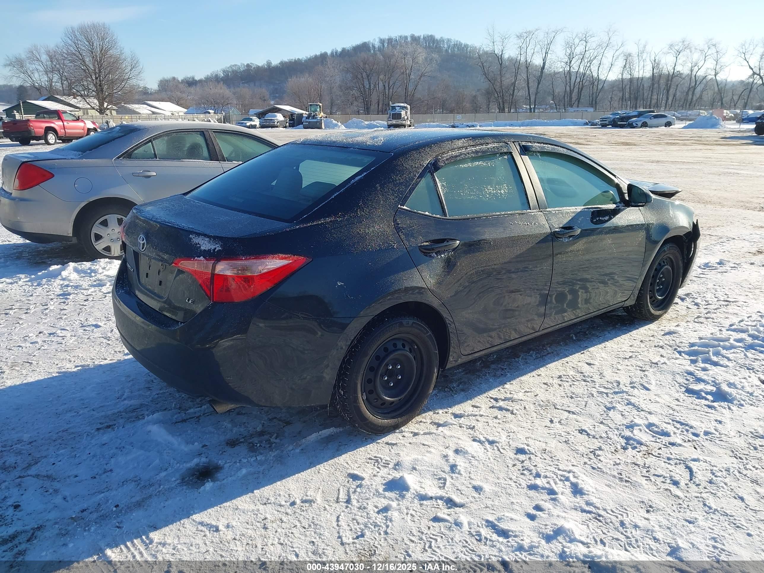 TOYOTA COROLLA image 4