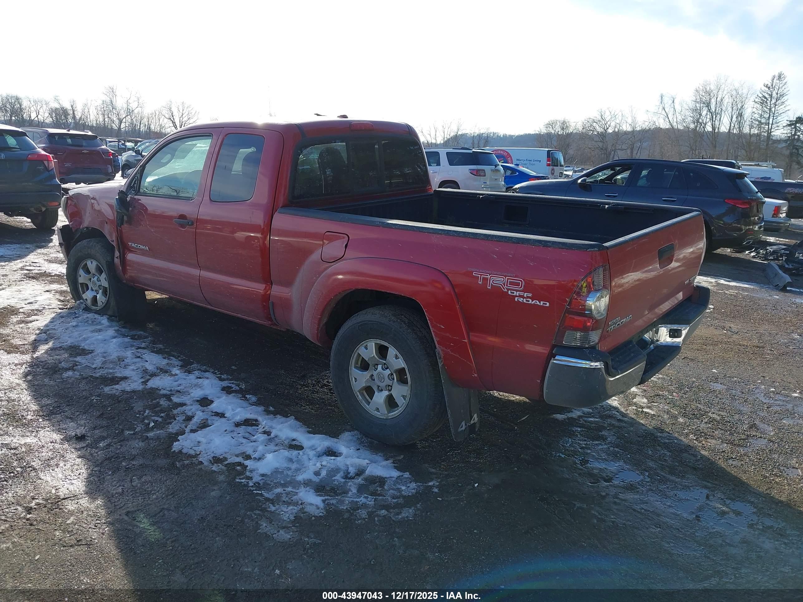 TOYOTA TACOMA image 3