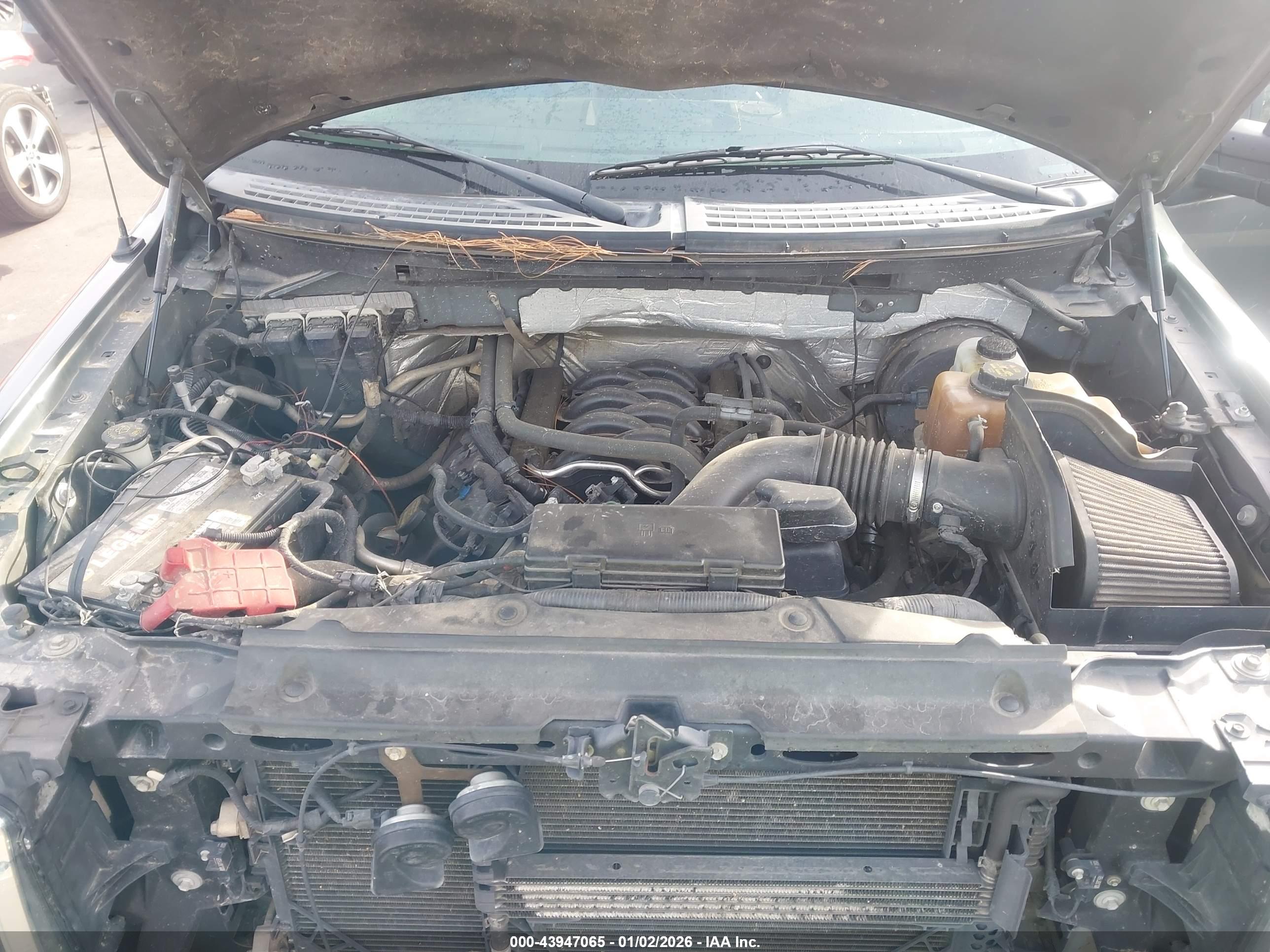 FORD F-150 image 10