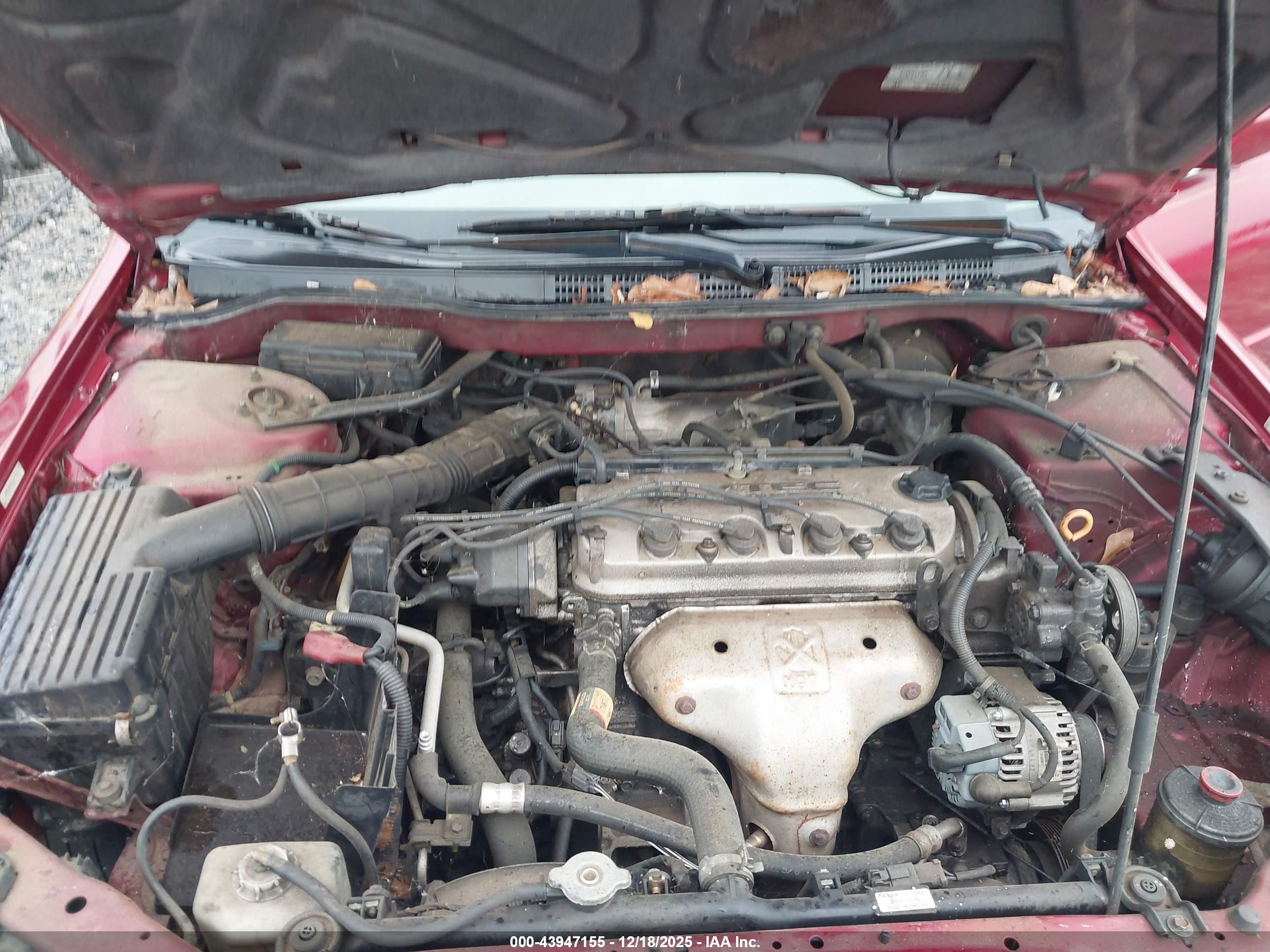 HONDA ACCORD image 10