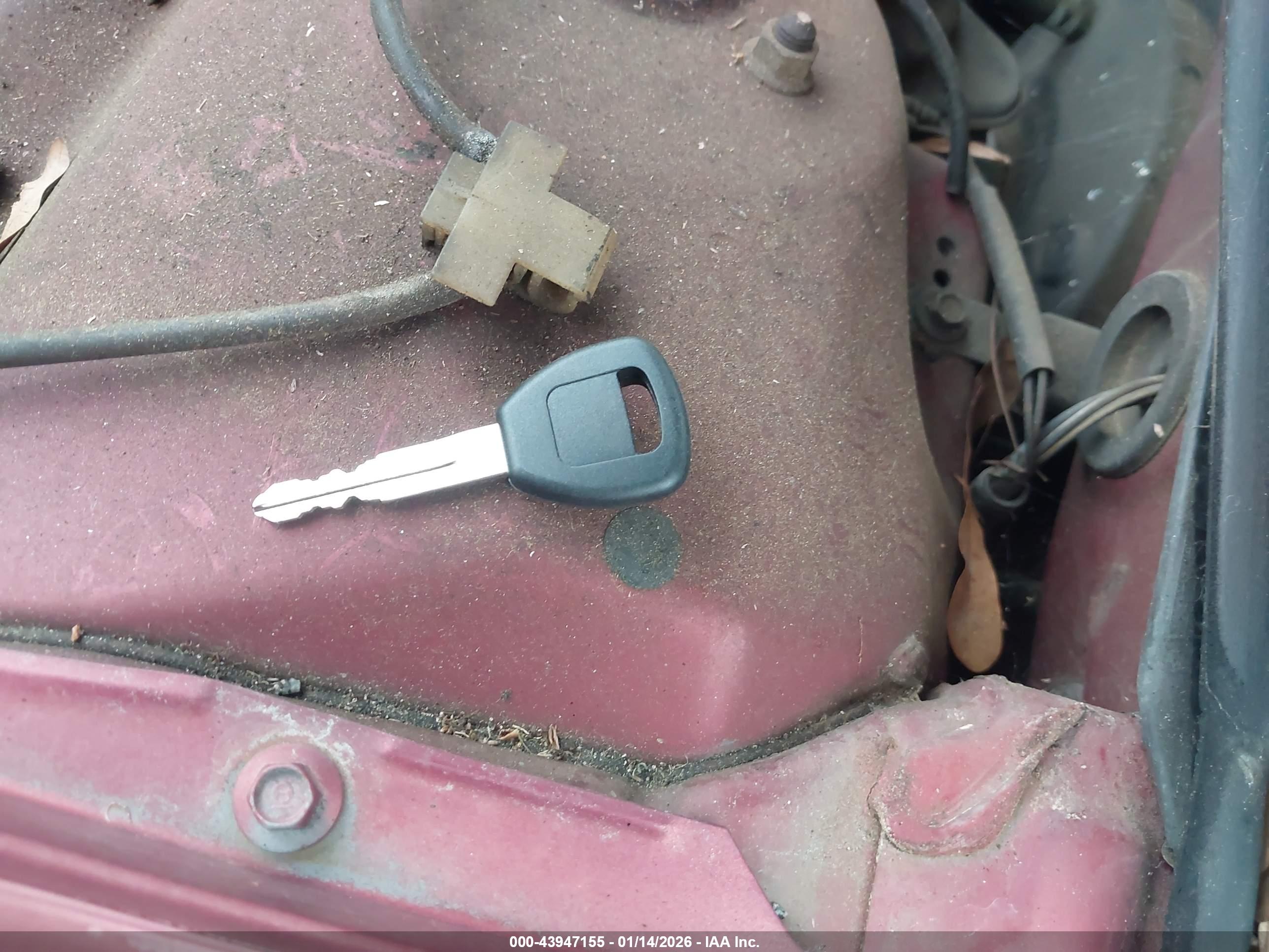 HONDA ACCORD image 11