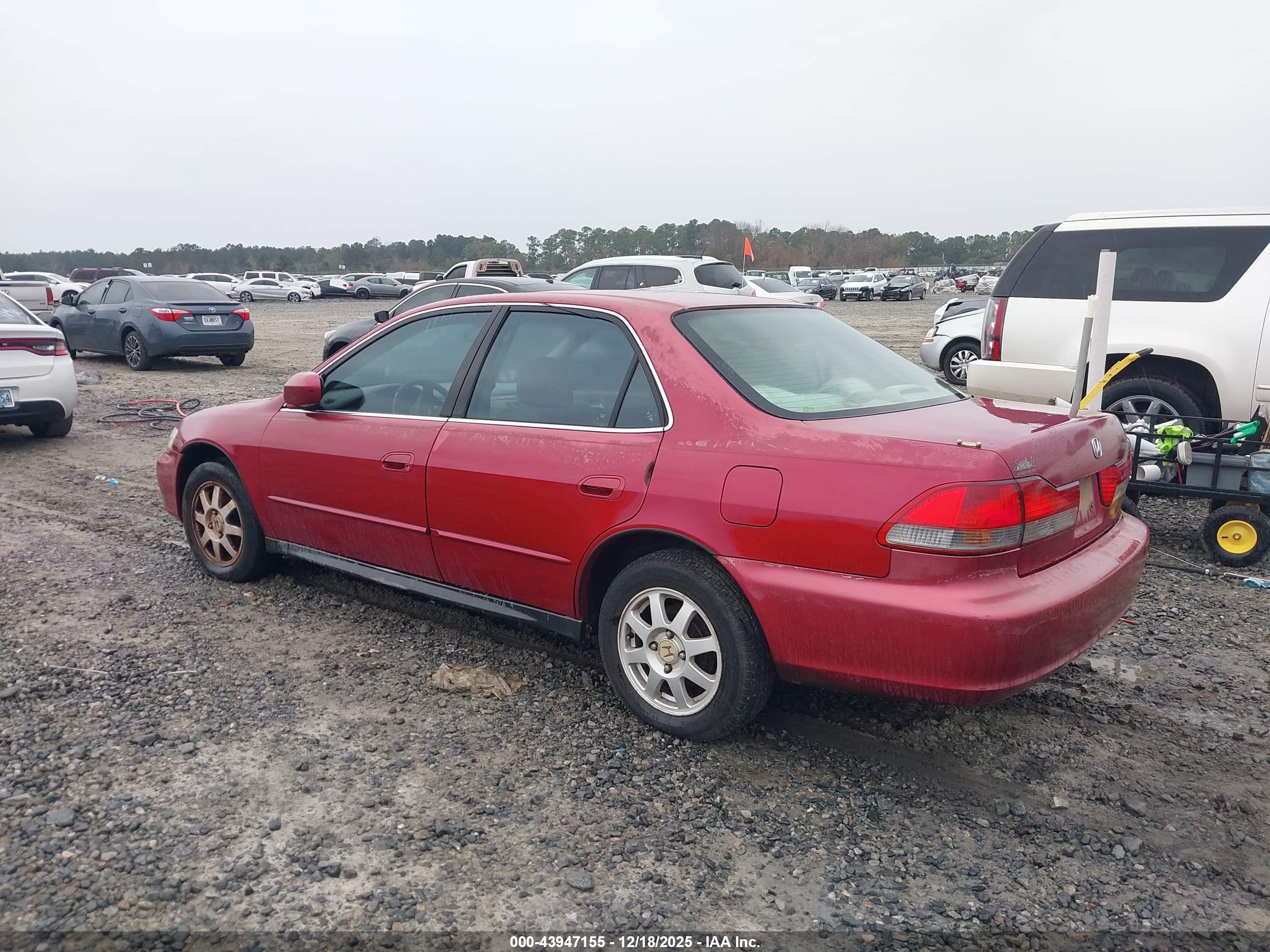 HONDA ACCORD image 3