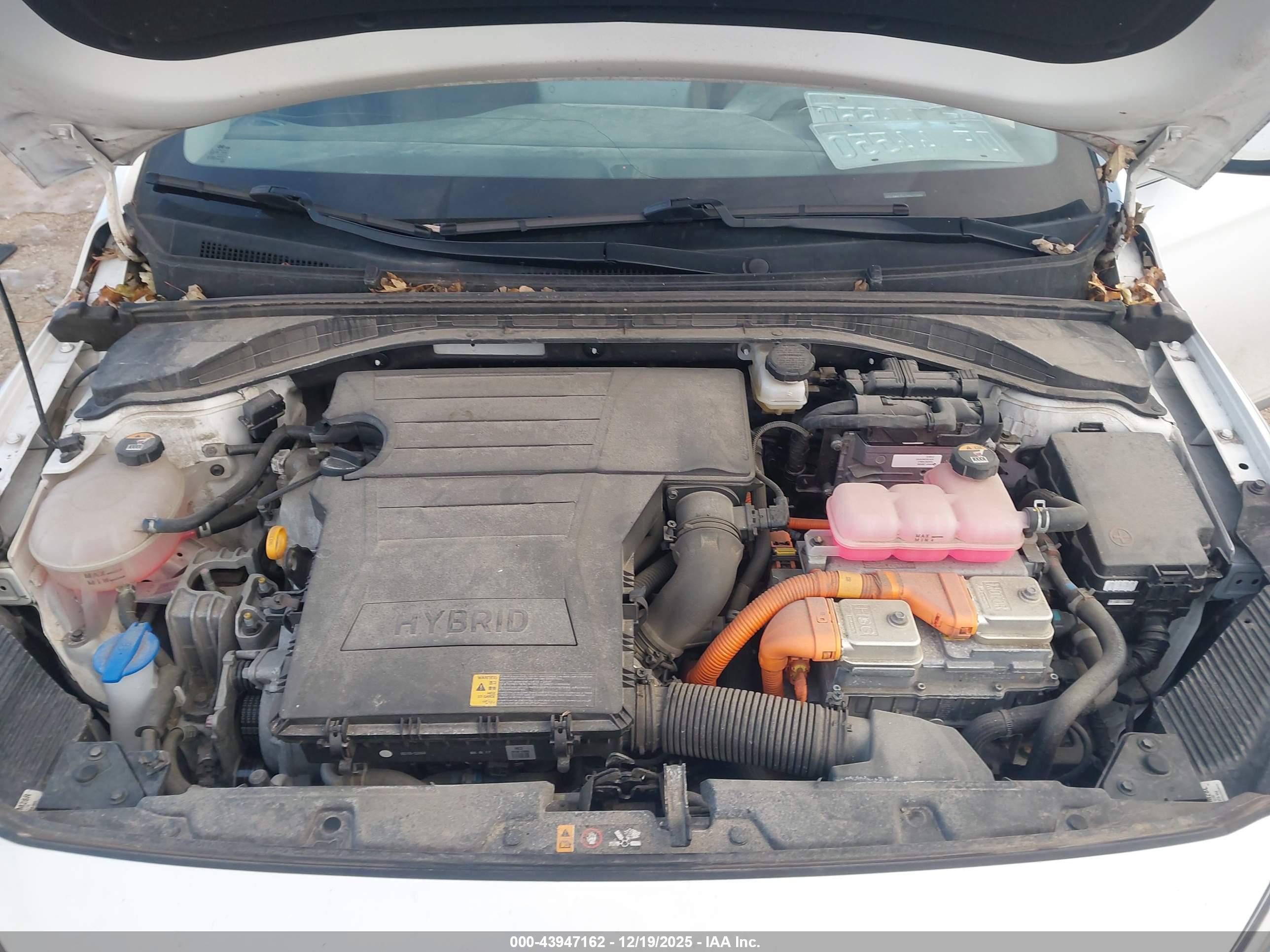 HYUNDAI IONIQ image 10