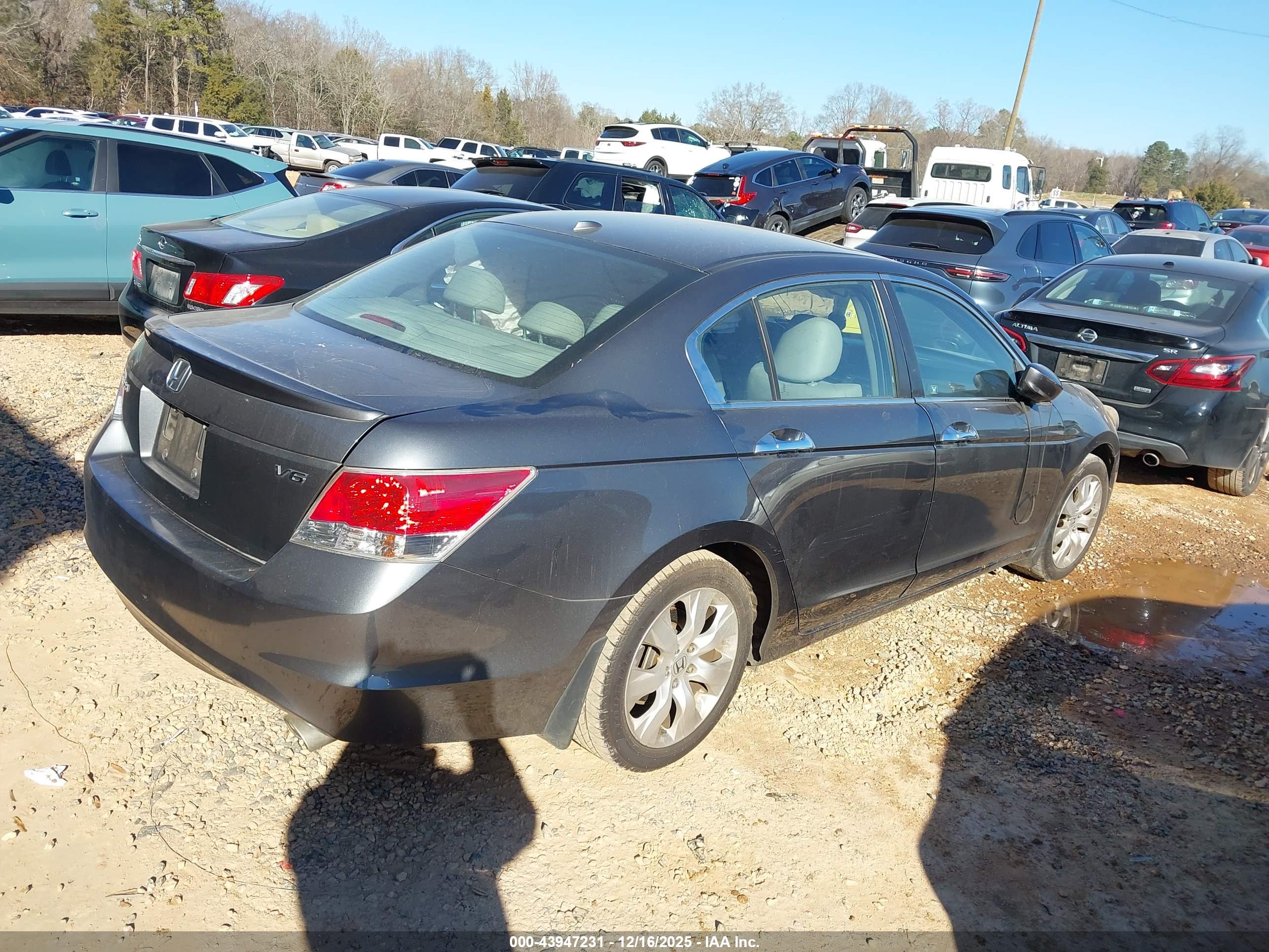 HONDA ACCORD image 4