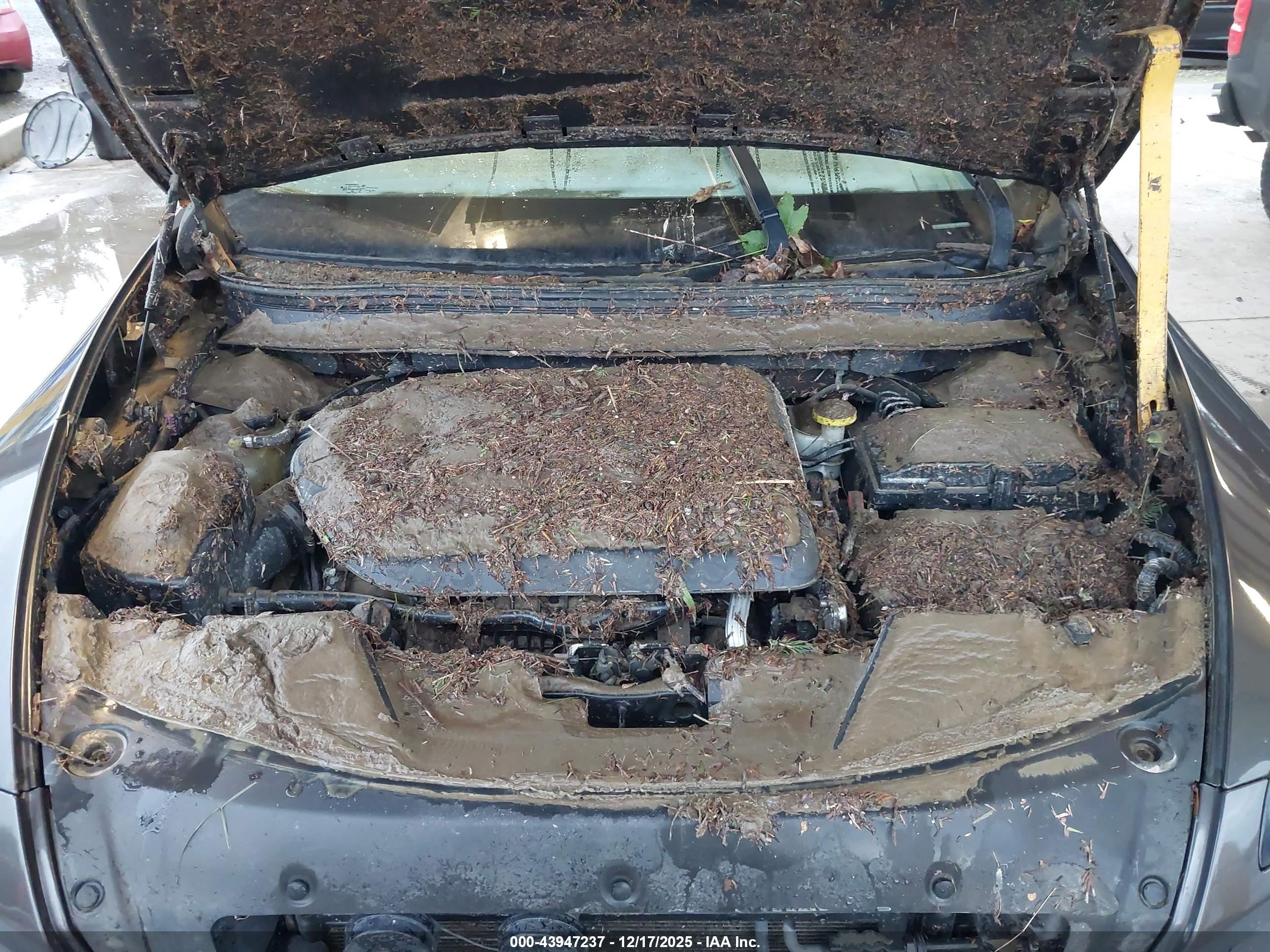 JEEP CHEROKEE image 10