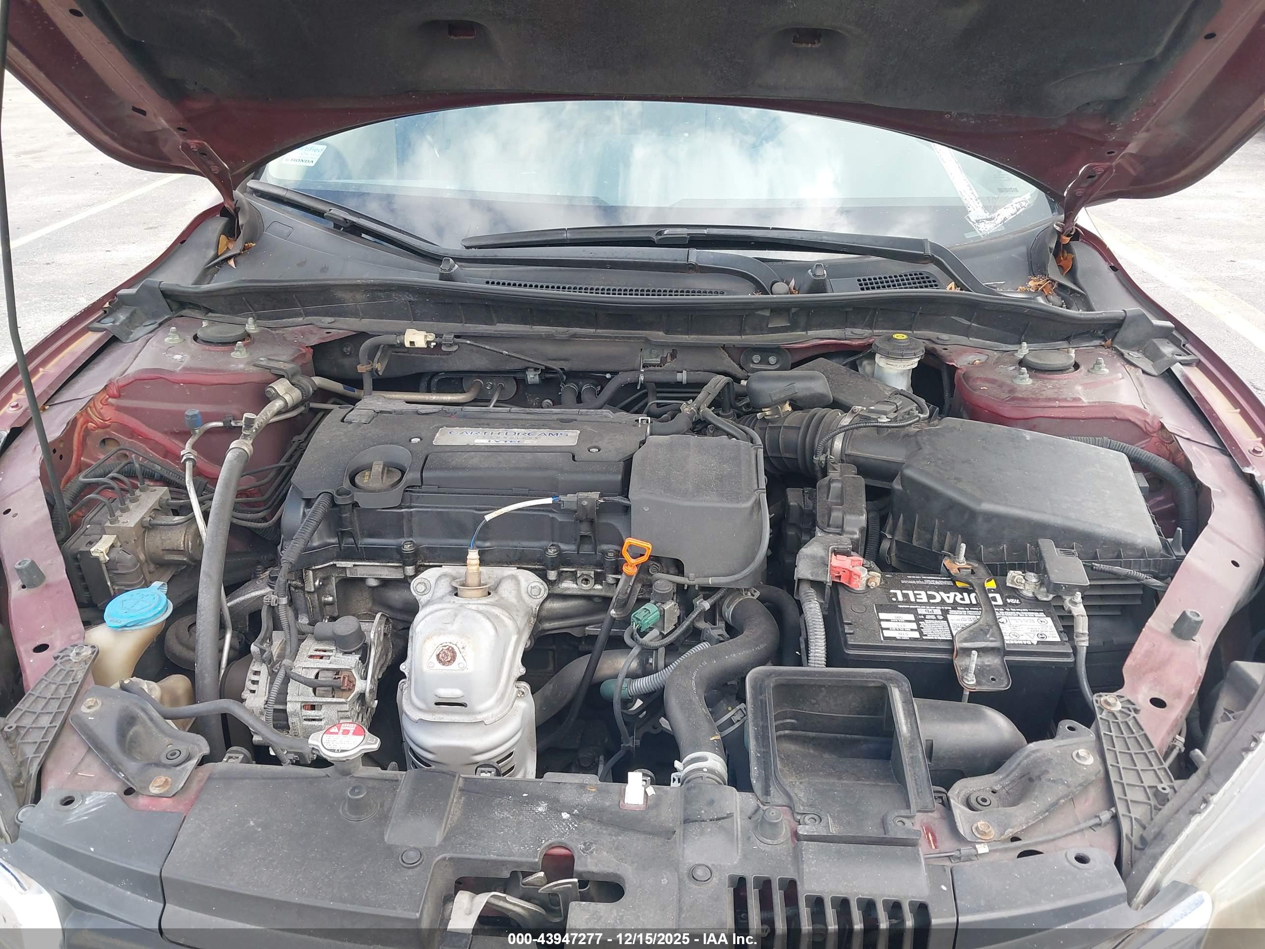 HONDA ACCORD image 10