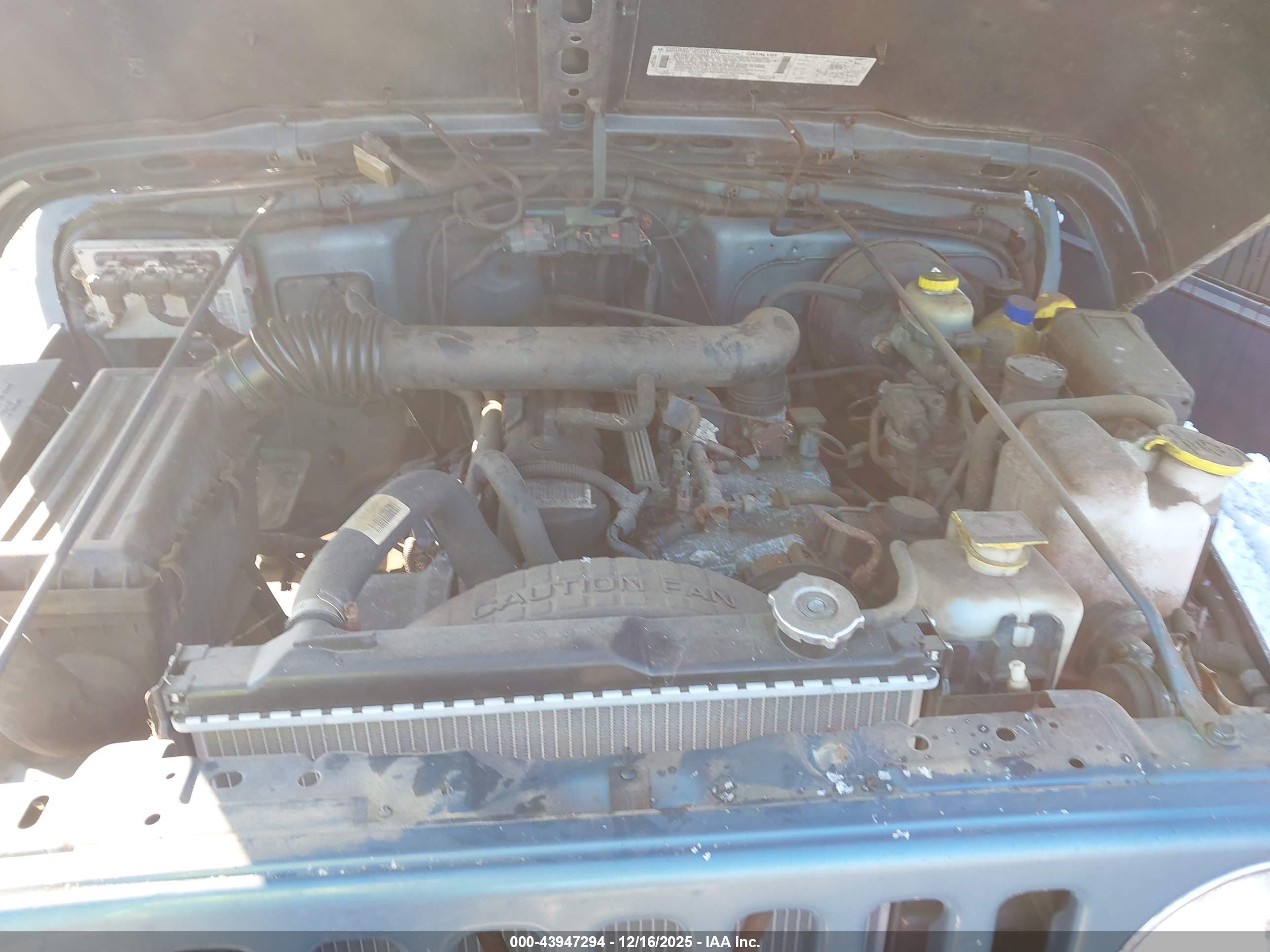 JEEP WRANGLER image 10