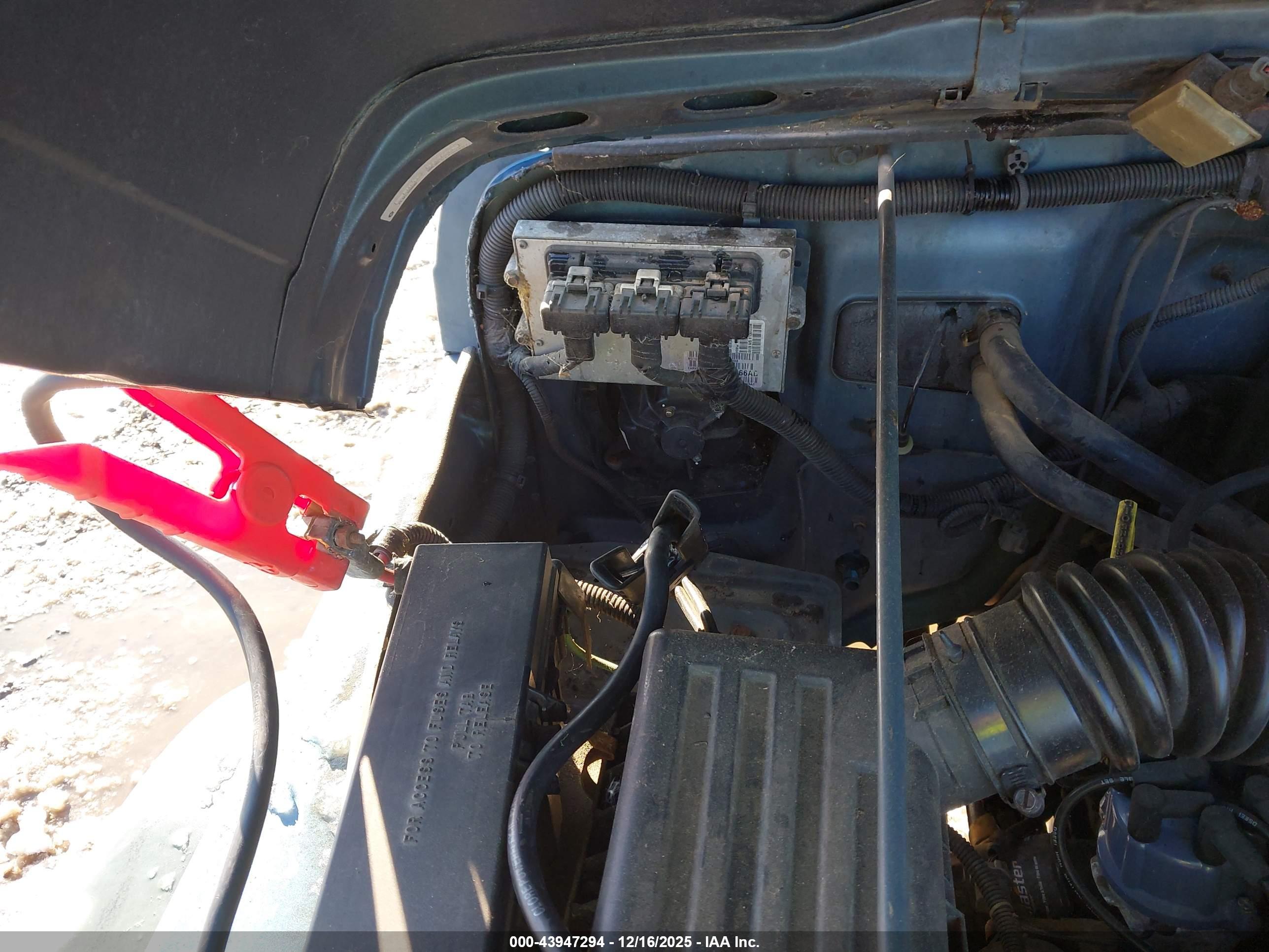 JEEP WRANGLER image 6