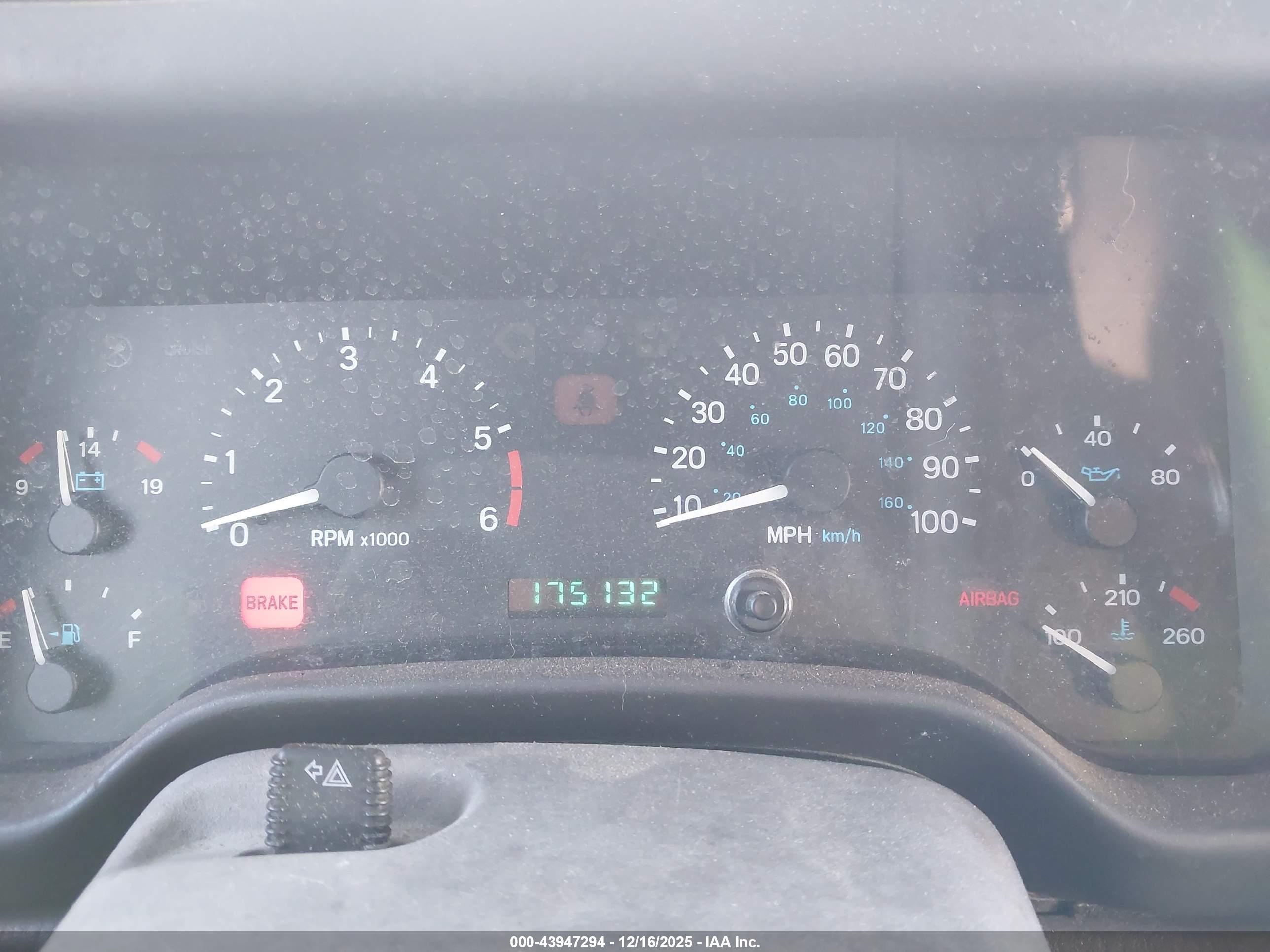 JEEP WRANGLER image 7