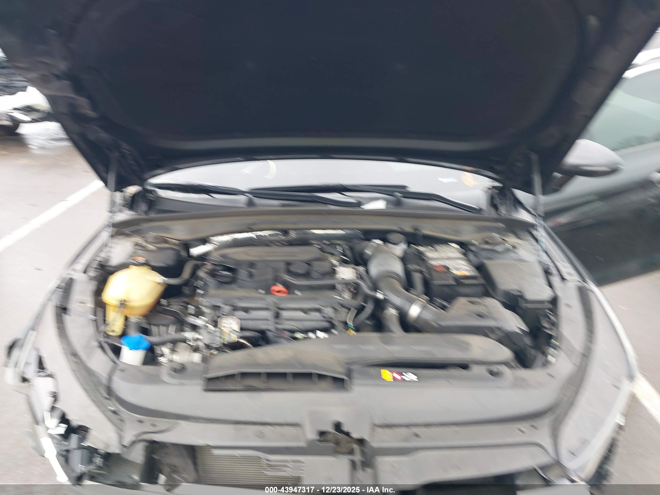 KIA K5 image 10